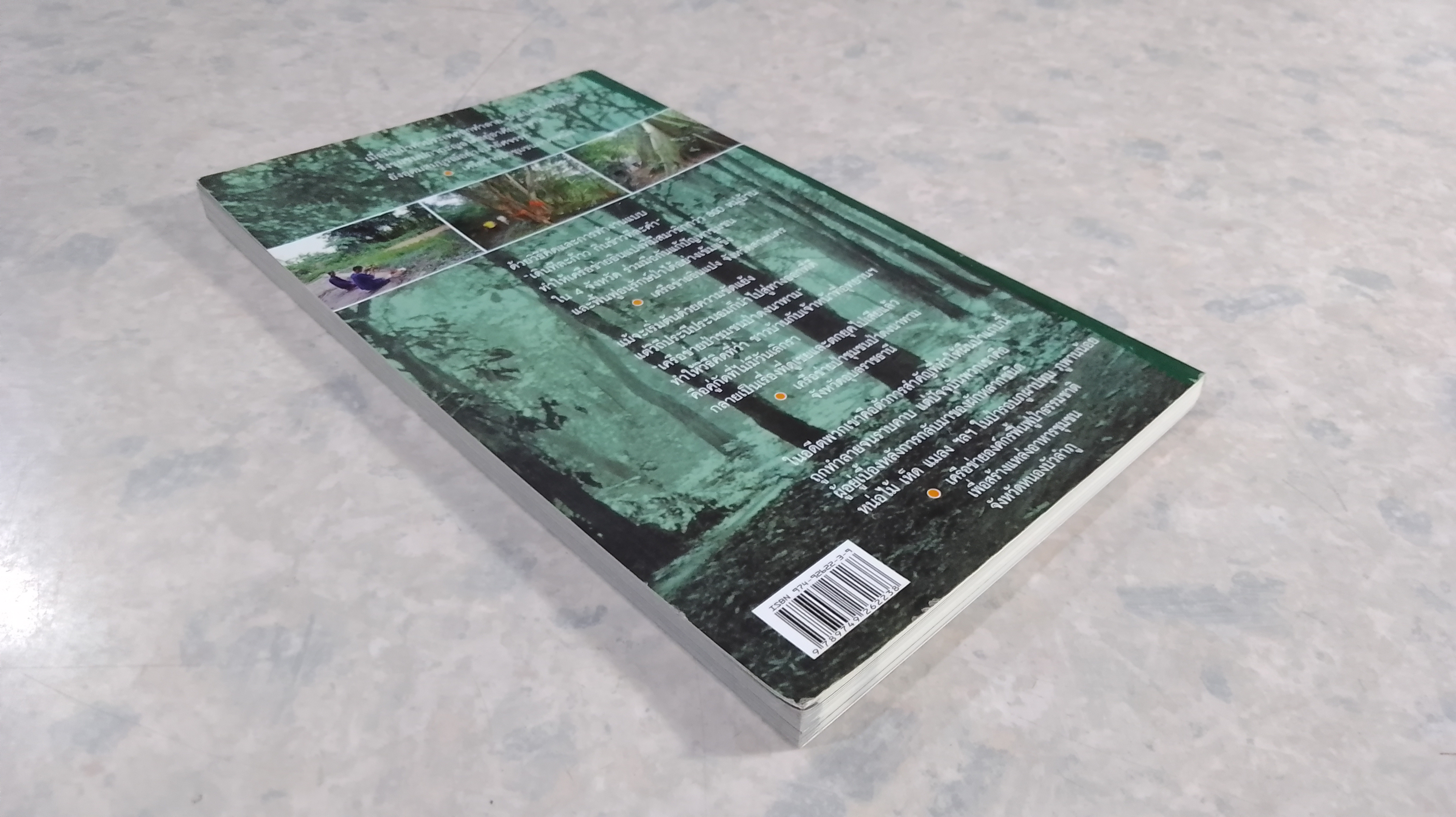 ป่าชุมชนของคนรากหญ้า