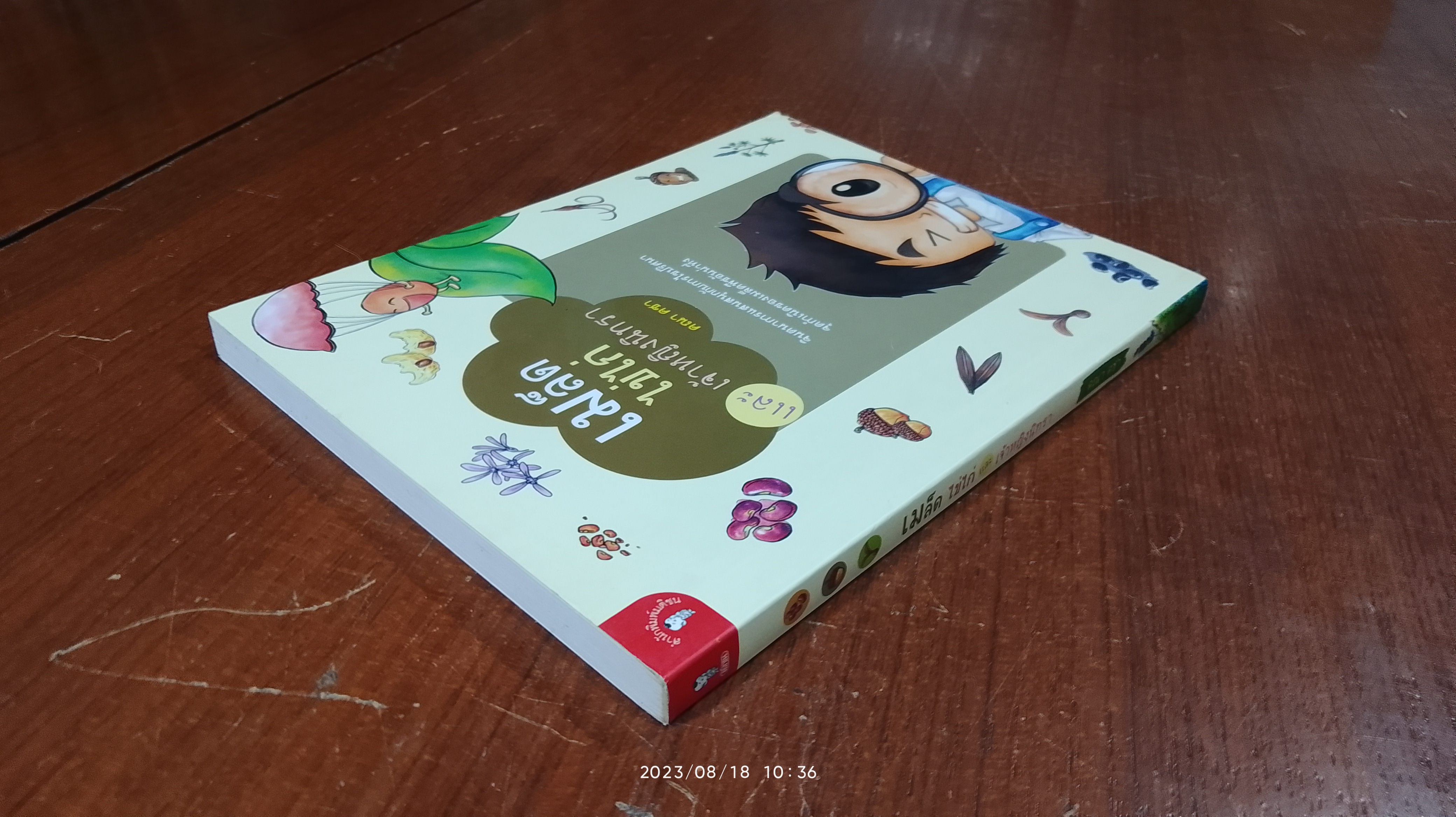 เมล็ด ไข่ไก่ และ เจ้าหญิงนิทรา / คณา คชา