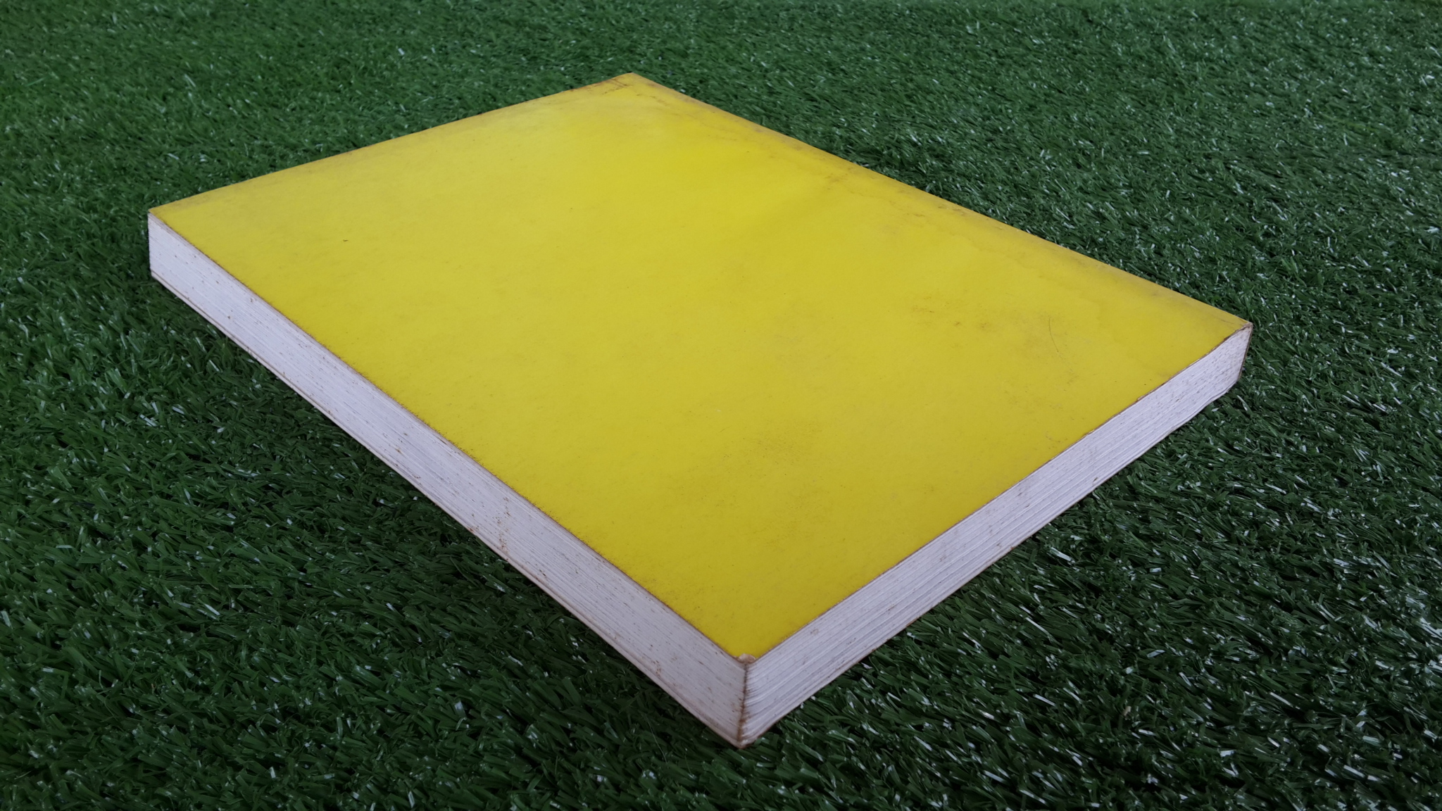 สมเด็จฯอยู่อินเดีย : อนุสรณ์ในงานออกเมรุพระราชทานเพลิงศพ สมเด็จพระธีรญาณมุนี (ธีร์ ปุณฺณกมหาเถร)