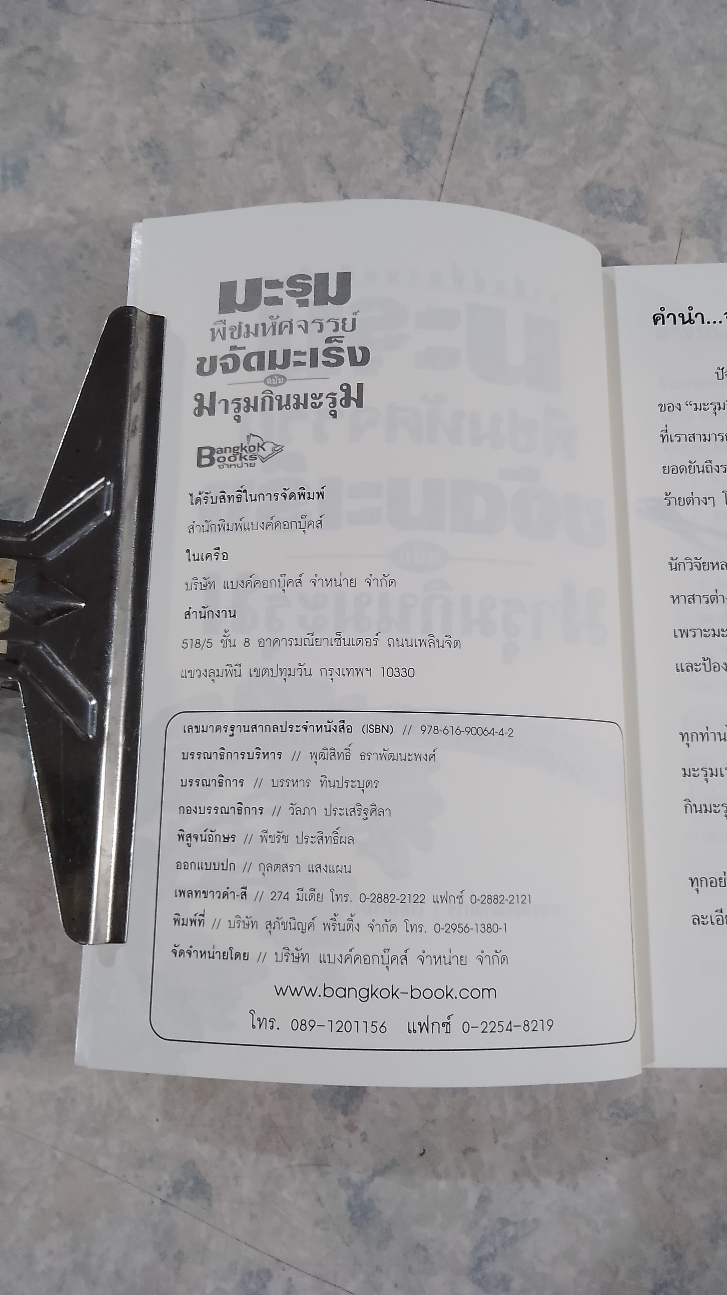 มะรุม พืชมหัศจรรย์ขจัดมะเร็ง ฉบับ มารุมกินมะรุม