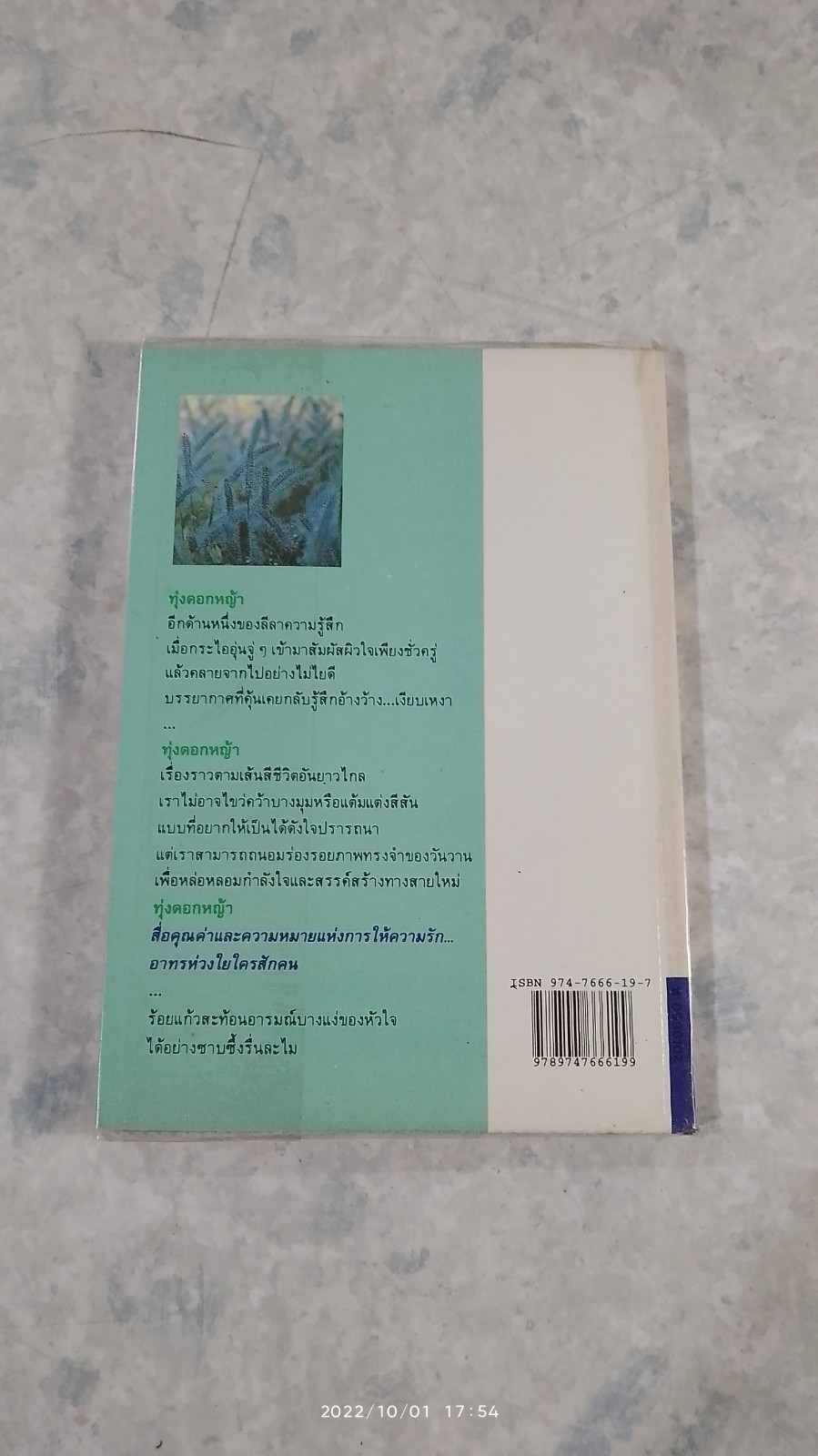 ทุ่งดอกหญ้า / ประภัสสร เสวิกุล
