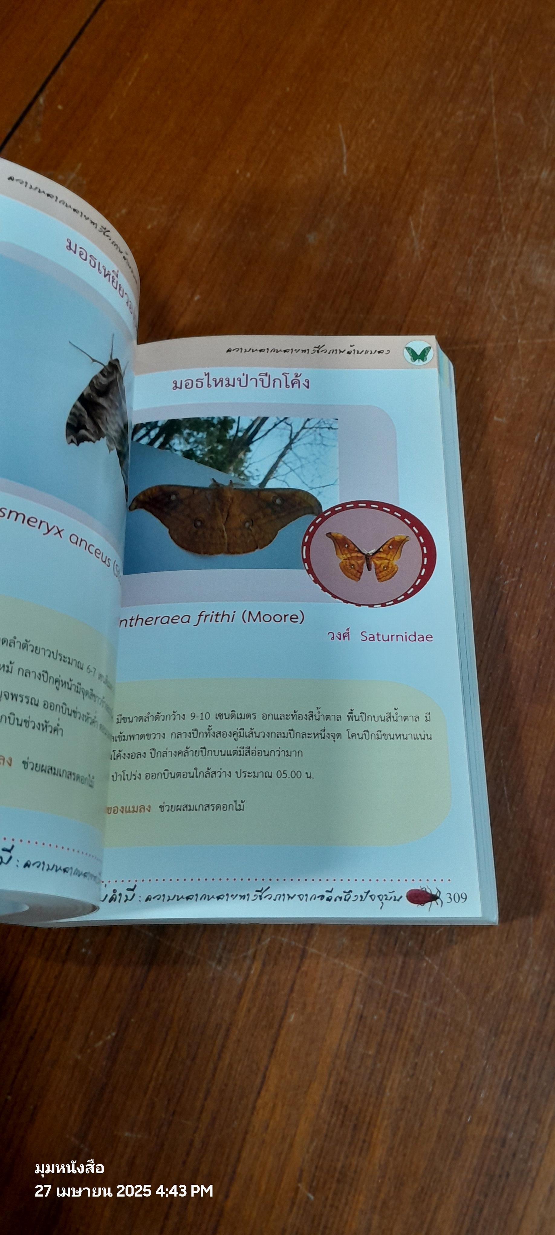 ป่าแม่คำมี : ความหลากหลายทางชีวภาพจากอดีตถึงปัจจุบัน / กรมป่าไม้