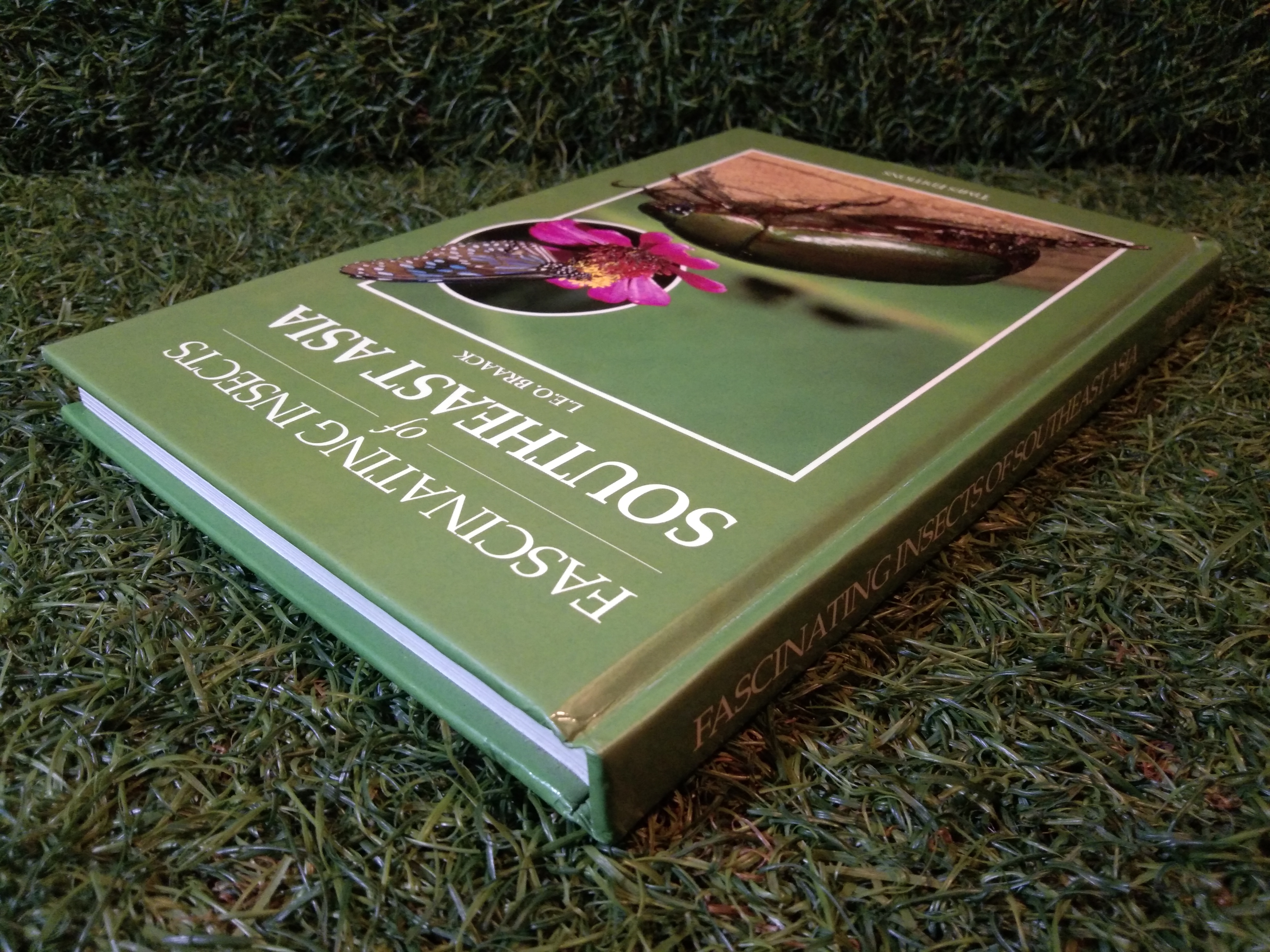 FASCINATING INSECTS of SOUTHEAST ASIA / L.E.O.BRAACK