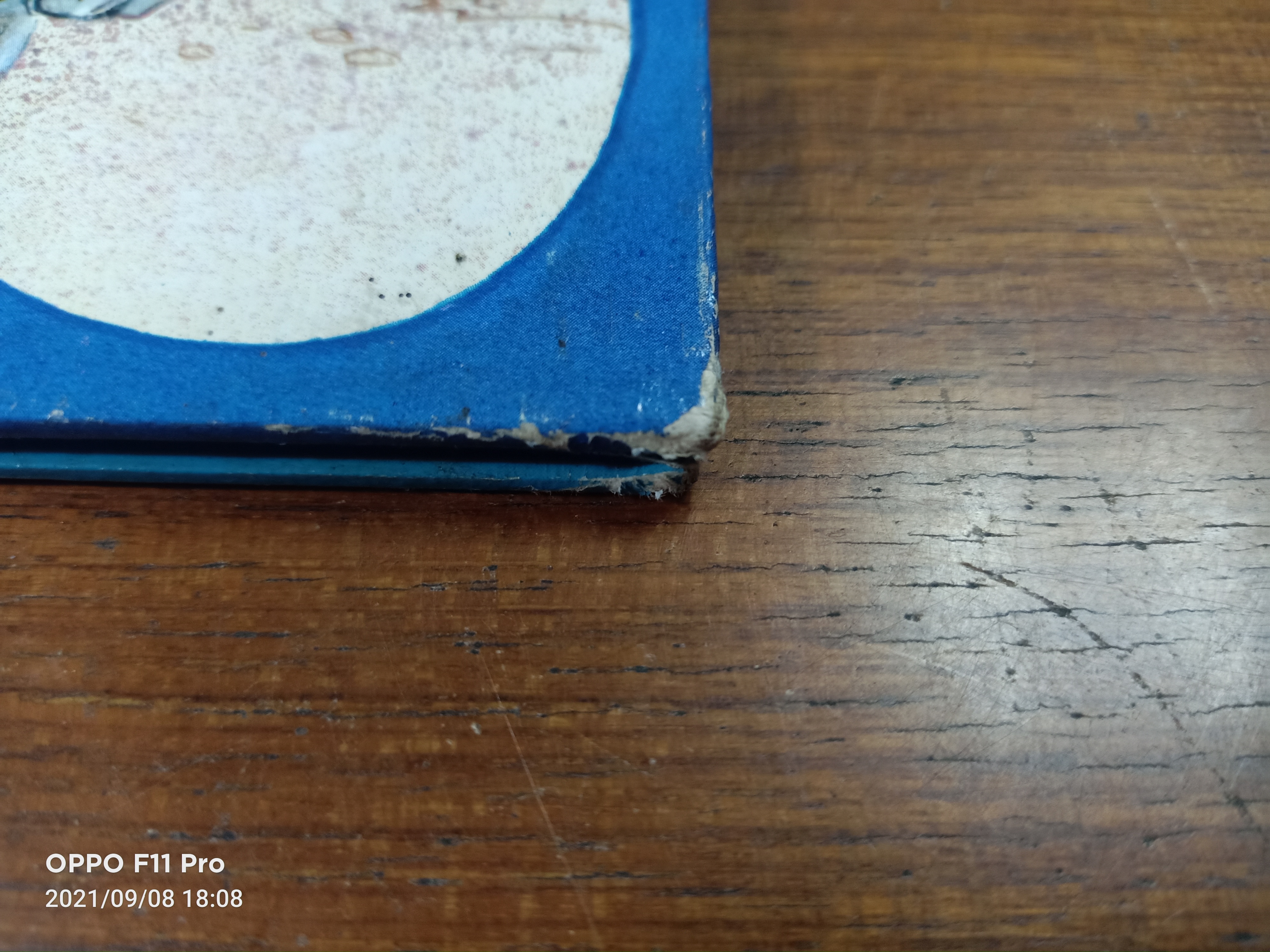 The Tortoise Fair(หนังสือมีรอยตามรูปภาพที่ถ่าย) / John Patience