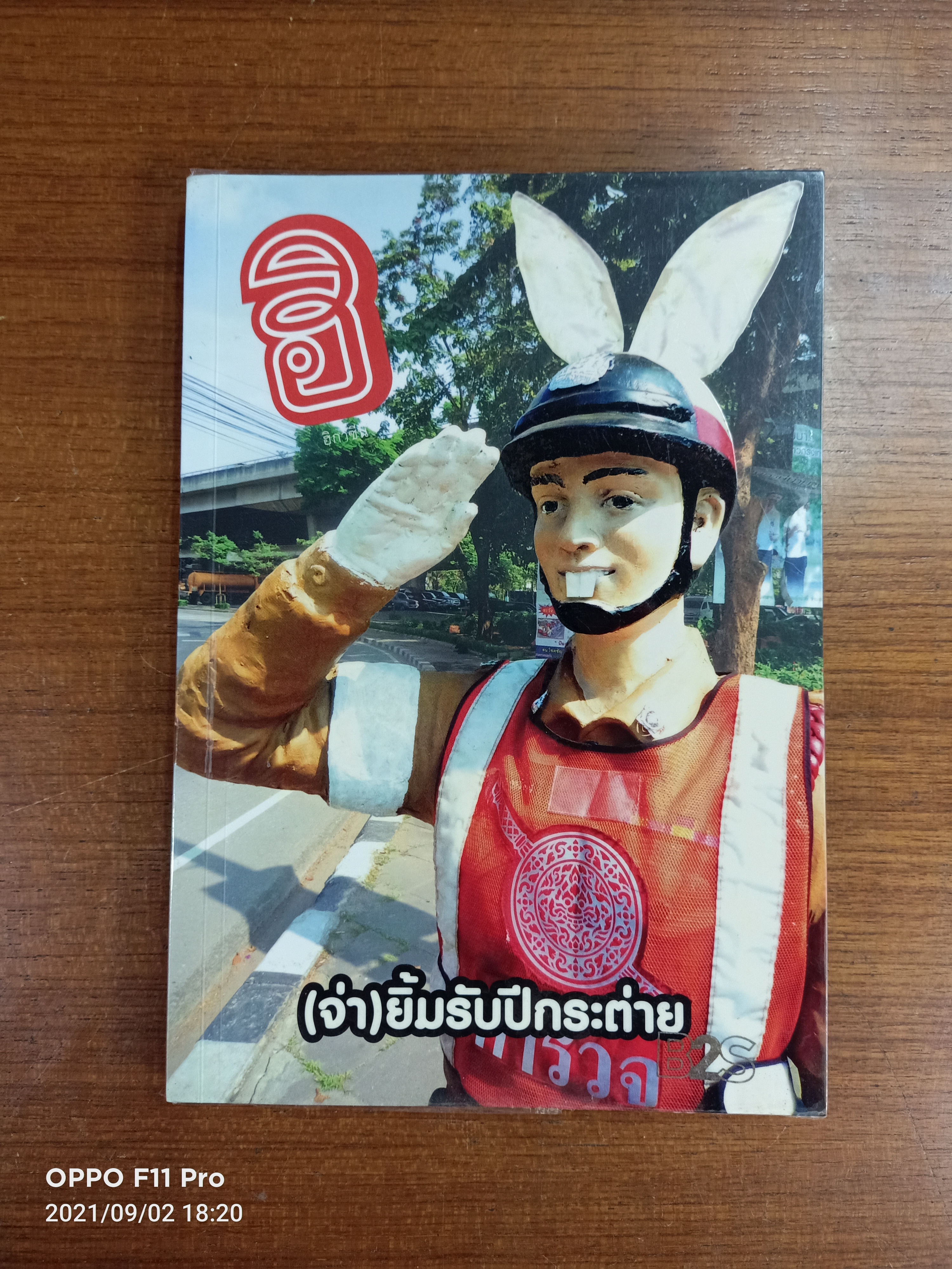 ฮิกาซีน (จ่า)ยิ้มรับปีกระต่าย / มังกรกินหมู