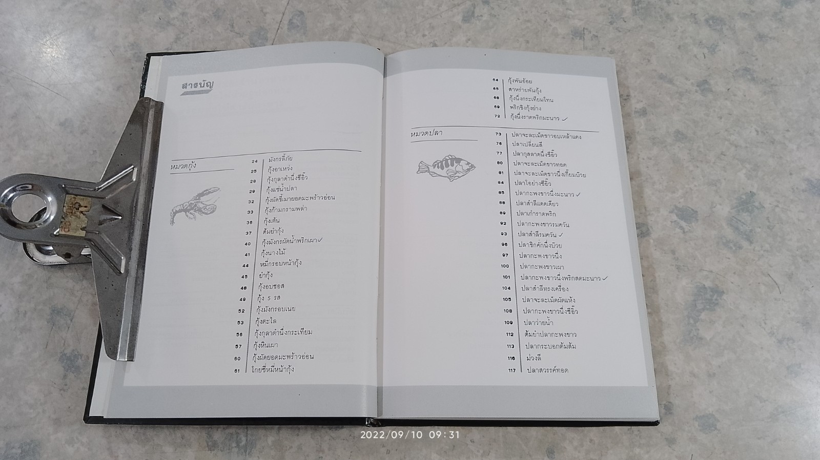 อาหารทะเล / แสงแดด