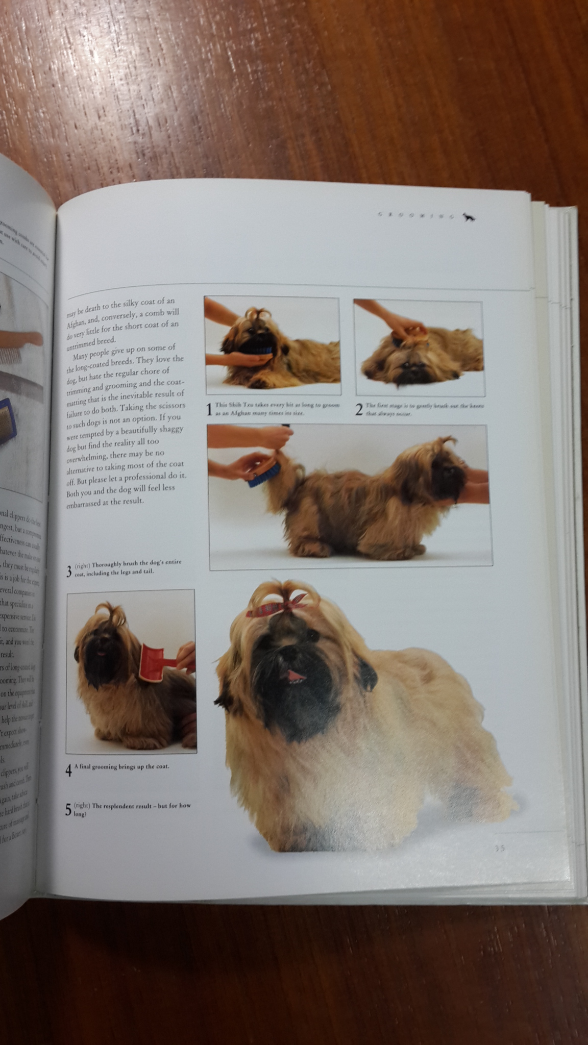 THE COMPLETE GUIDE TO DOG CARE / DR PETER LARKIN