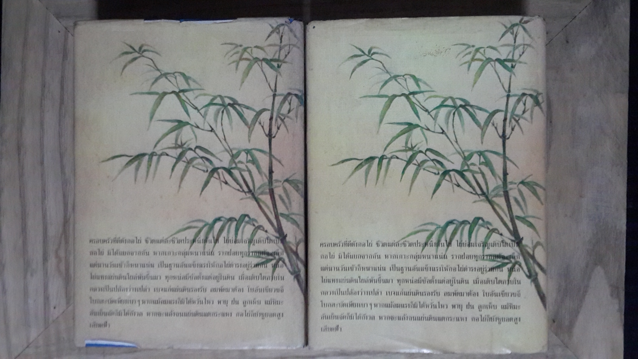 ไผ่ต้องลม (2เล่มจบ) / โบตั๋น