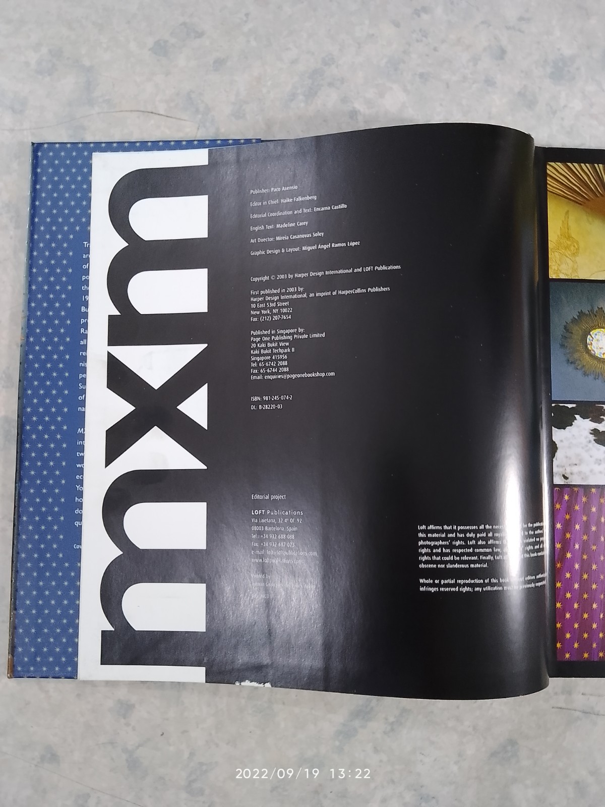 mxm : maximalist interiors / Encarna Castillo