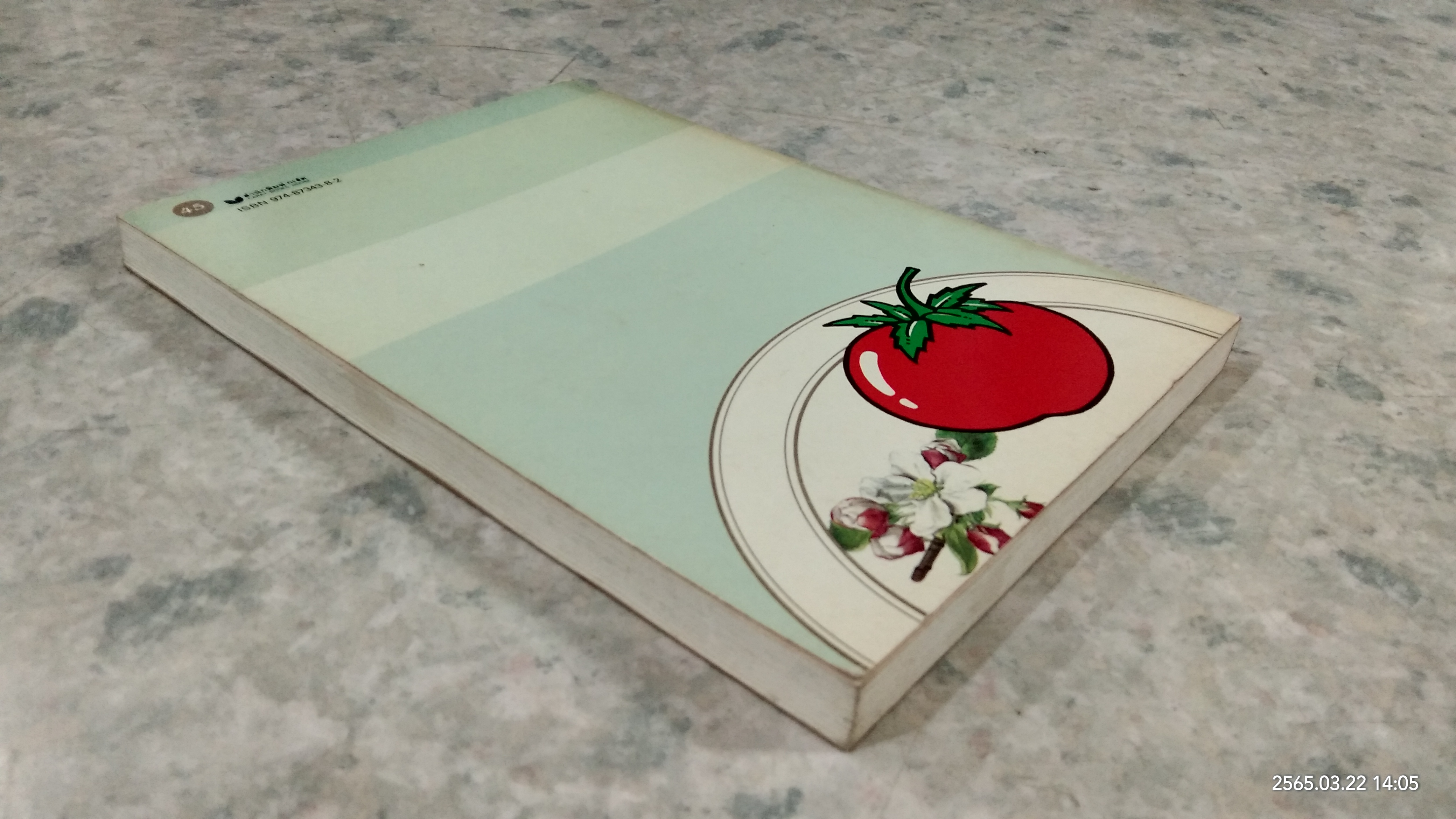 เพื่อนแม่บ้าน / พิไล พิลักษณ์เลขา