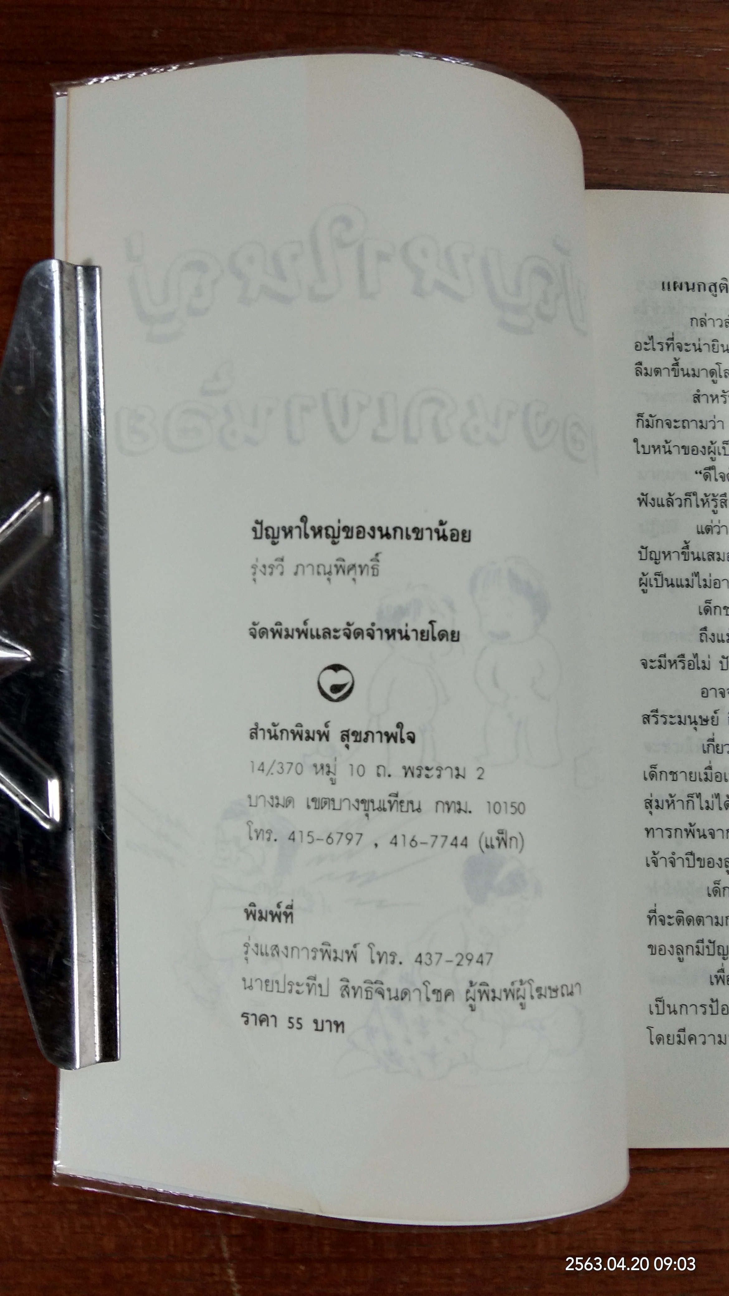ปัญหาใหญ่ของนกเขาน้อย / รุ่งรวี ภาณุพิศุทธิ์