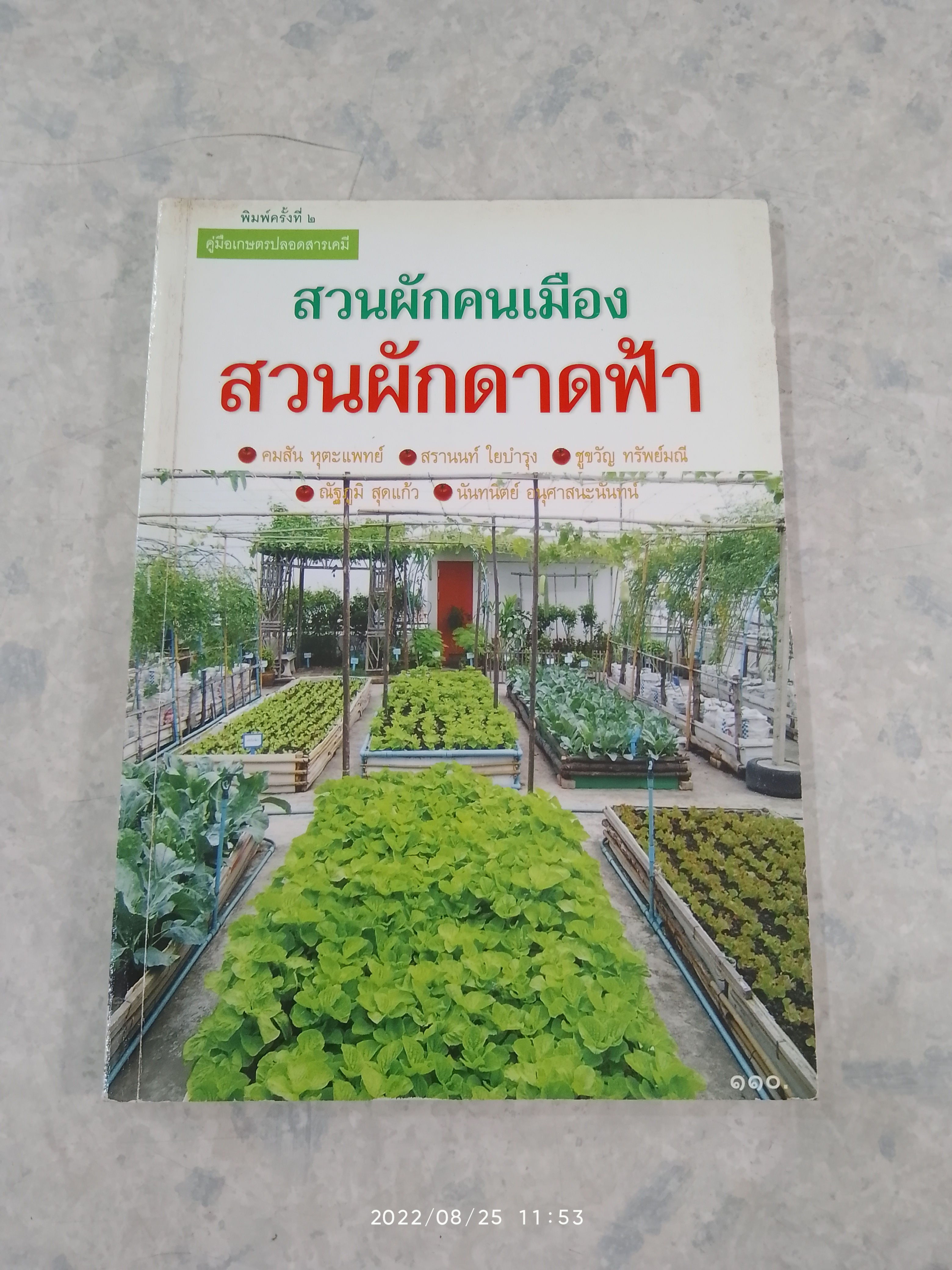 สวนผักคนเมือง สวนผักดาดฟ้า / คมสัน หุตะแพทย์