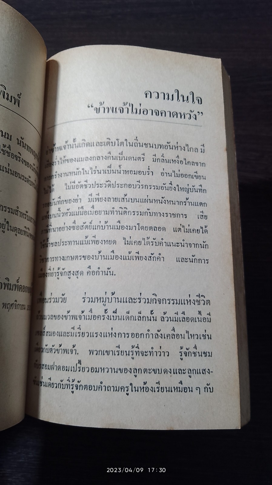 บองหลา / พนม นันทพฤกษ์