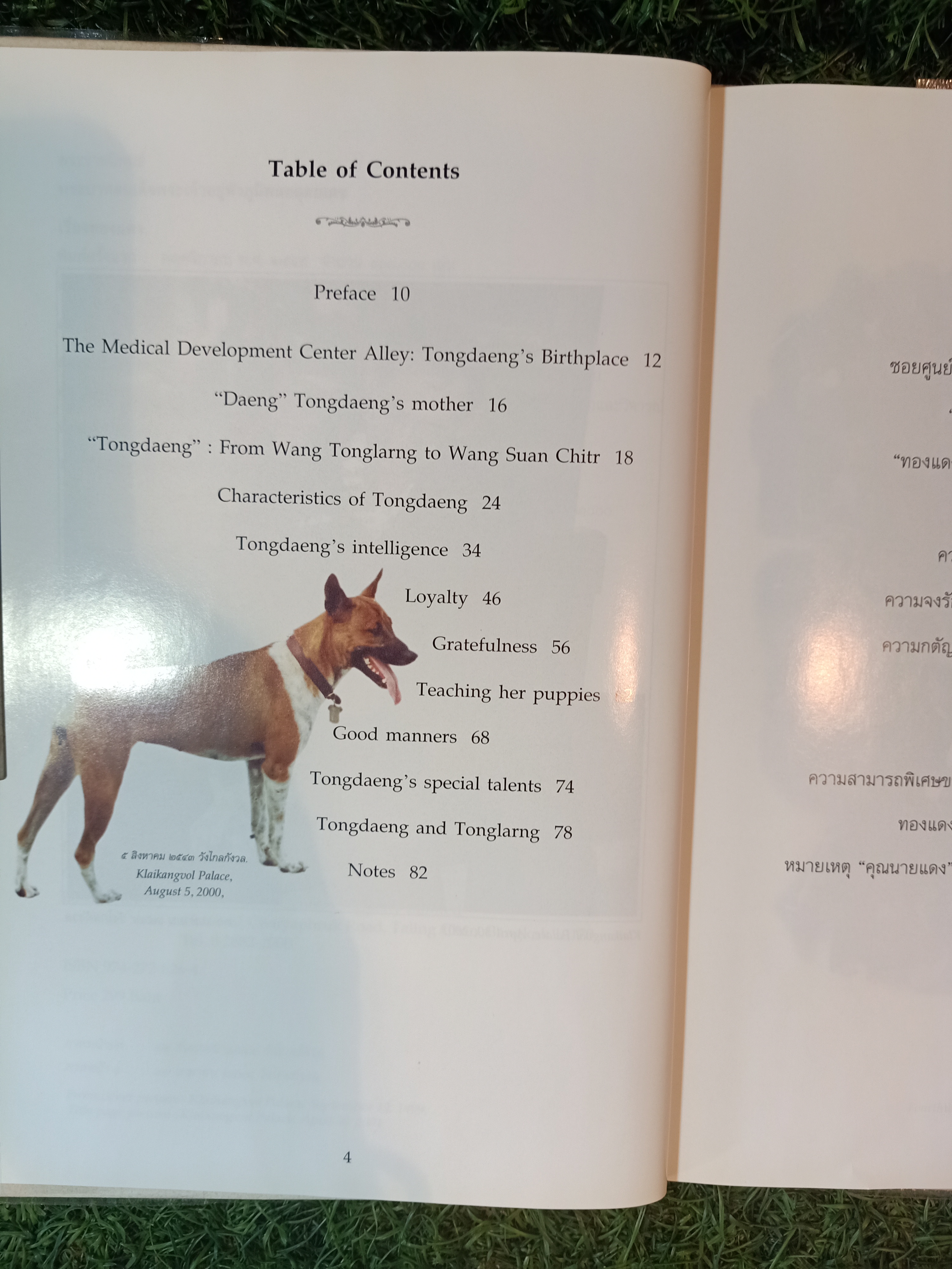 พระราชนิพนธ์ พระบาทสมเด็จพระเจ้าอยู่หัวภูมิพลอดุลยเดช เรื่องทองแดง