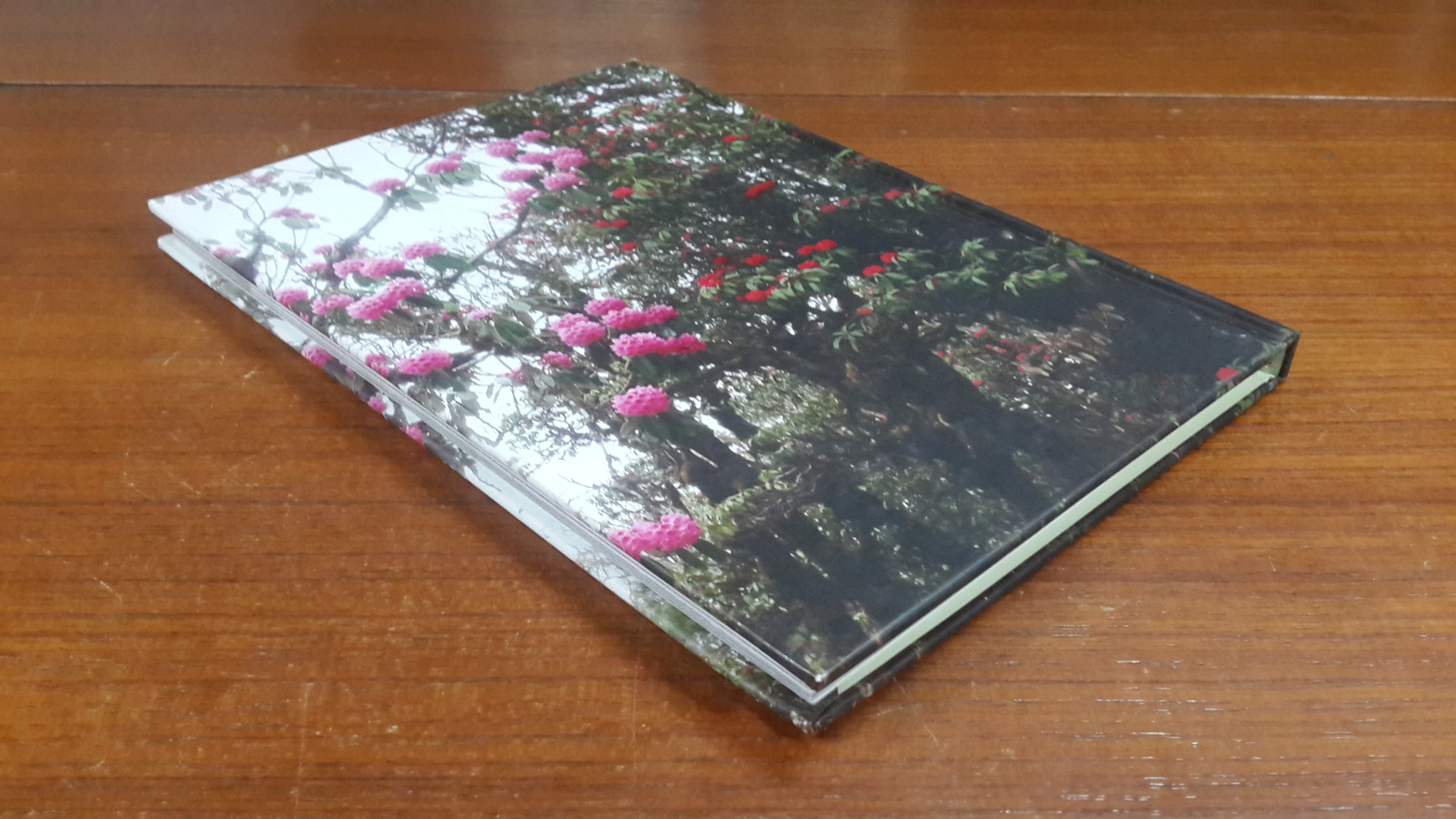 ลำนำไพร / พิสมัย จันทวิมล