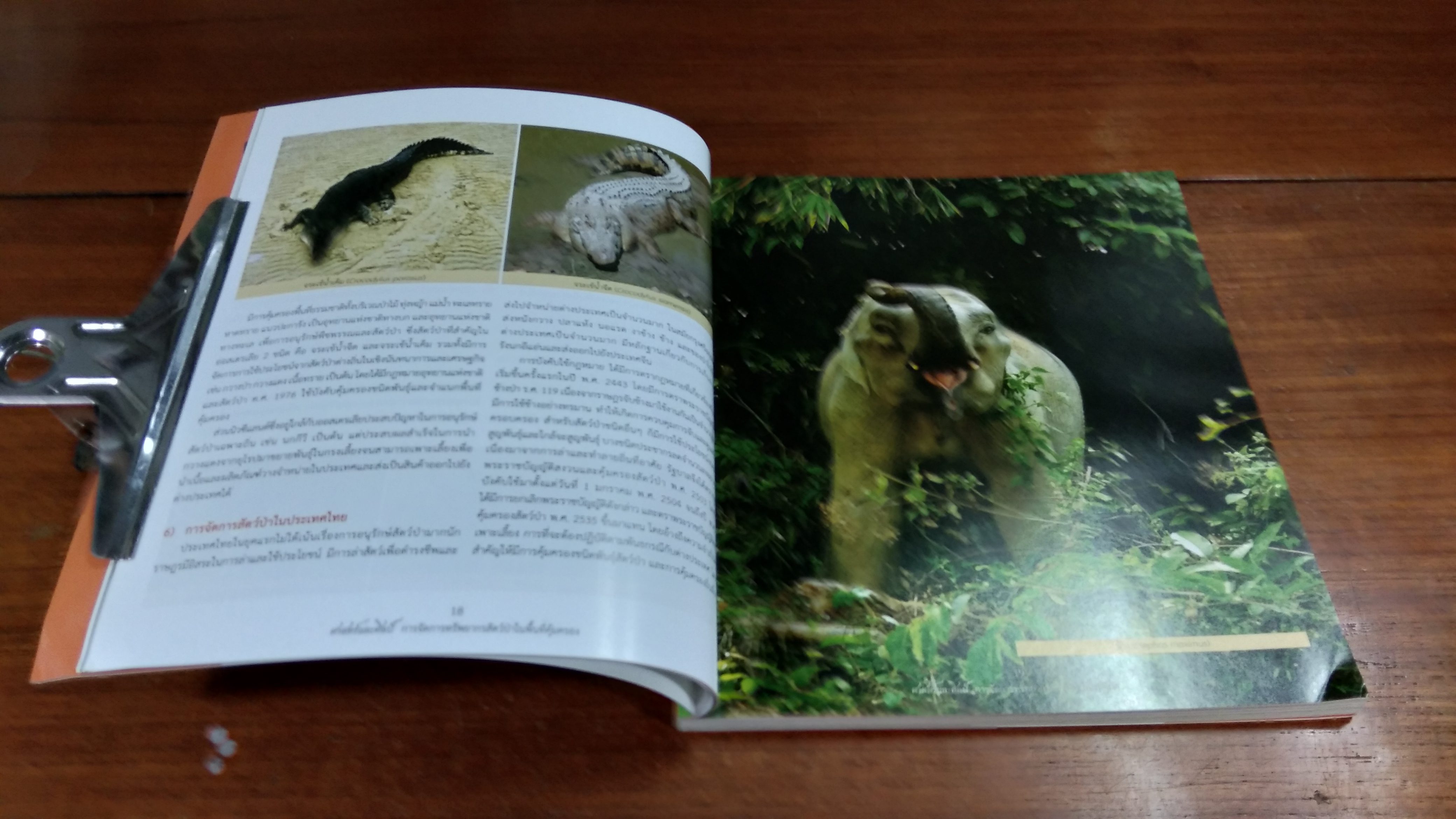 ศาสตร์และศิลป์ การจัดการทรัพยากรสัตว์ป่าในพื้นที่คุ้มครอง / ทรงธรรม สุขสว่าง