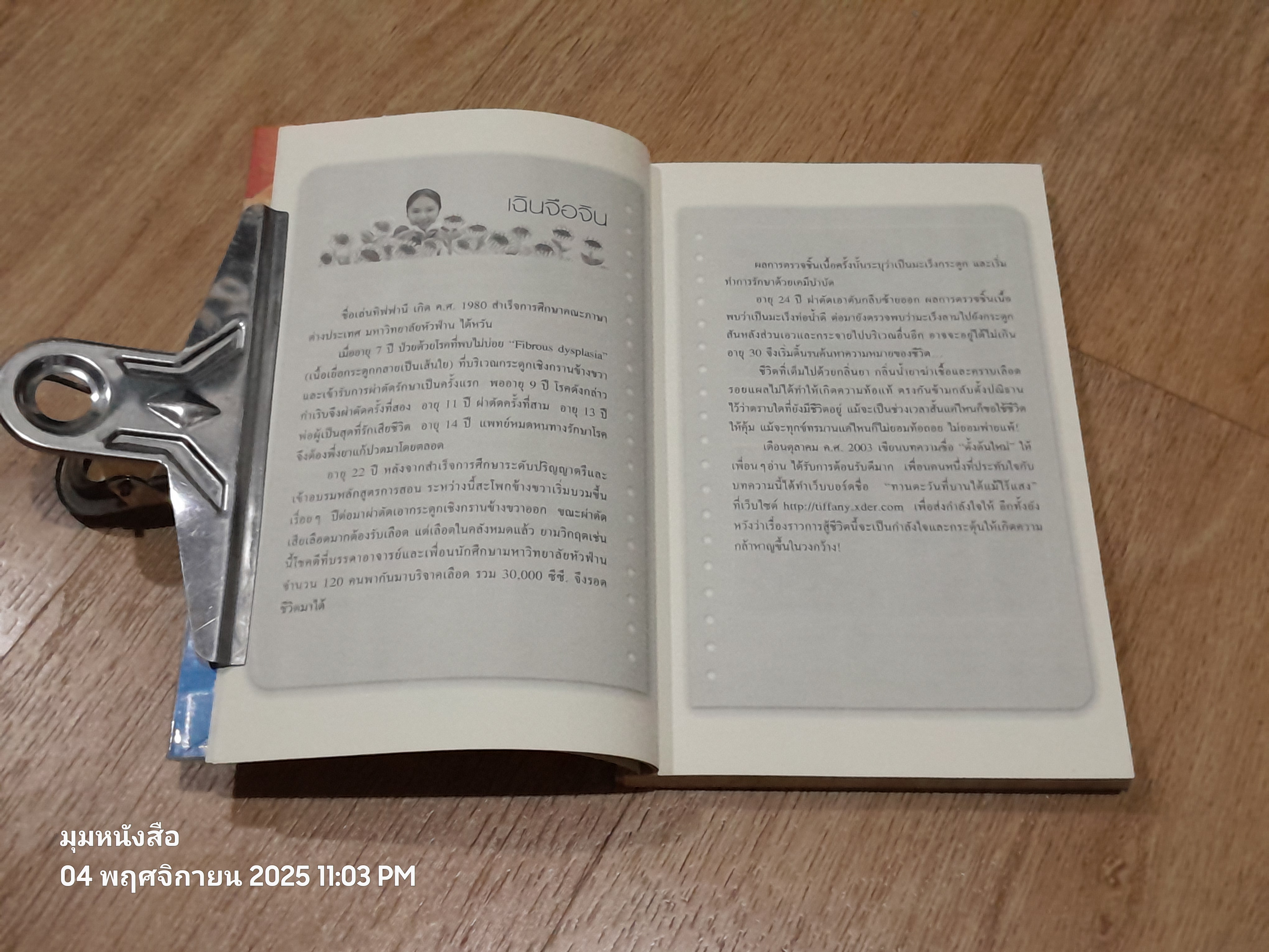 ทานตะวันที่บานได้แม้ไร้แสง / เฉินจือจิน