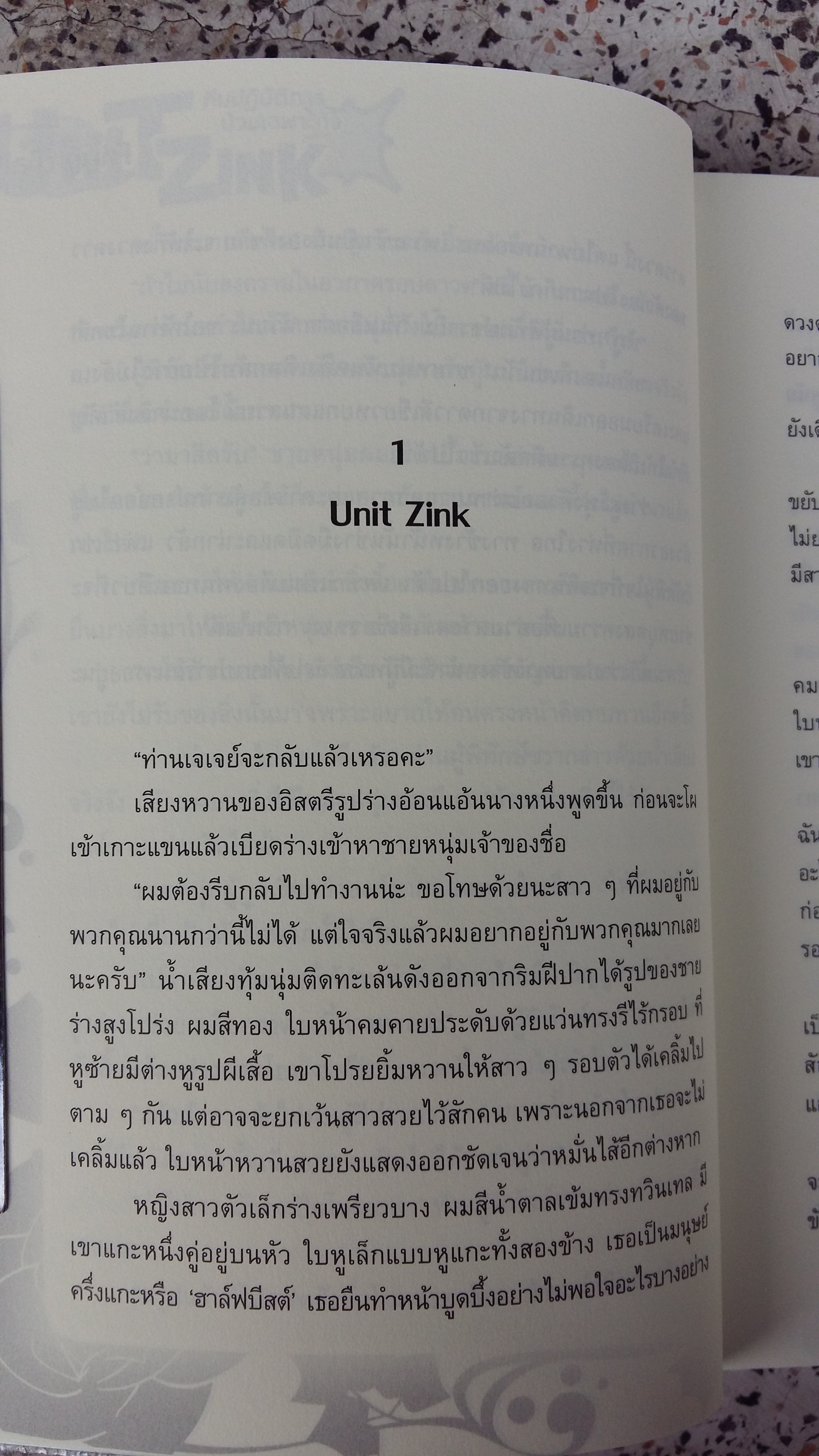 ทีมปฏิบัติการ ป่วนเฉพาะกิจ / UNIT ZINK
