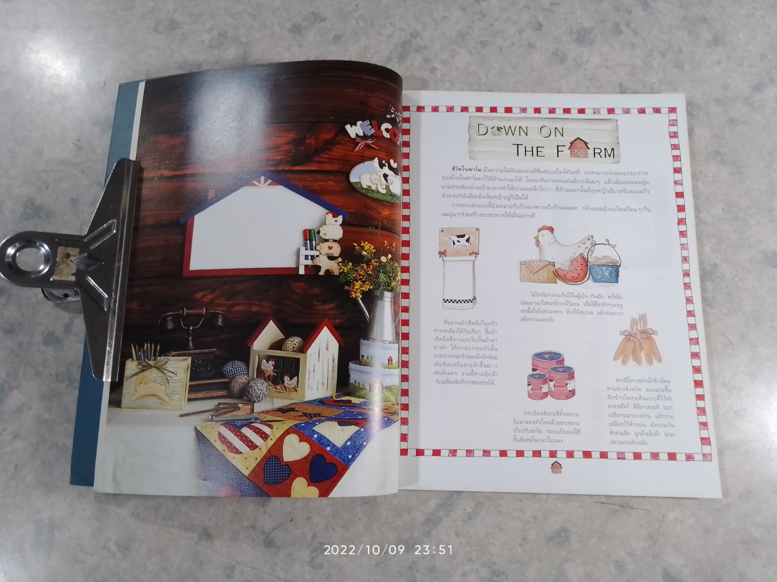 COUNTRY CRAFT PAINTING "วาดสีเล่นลายสไตล์คันทรี่" / กิติยา เสริมศักดิ์สกุล