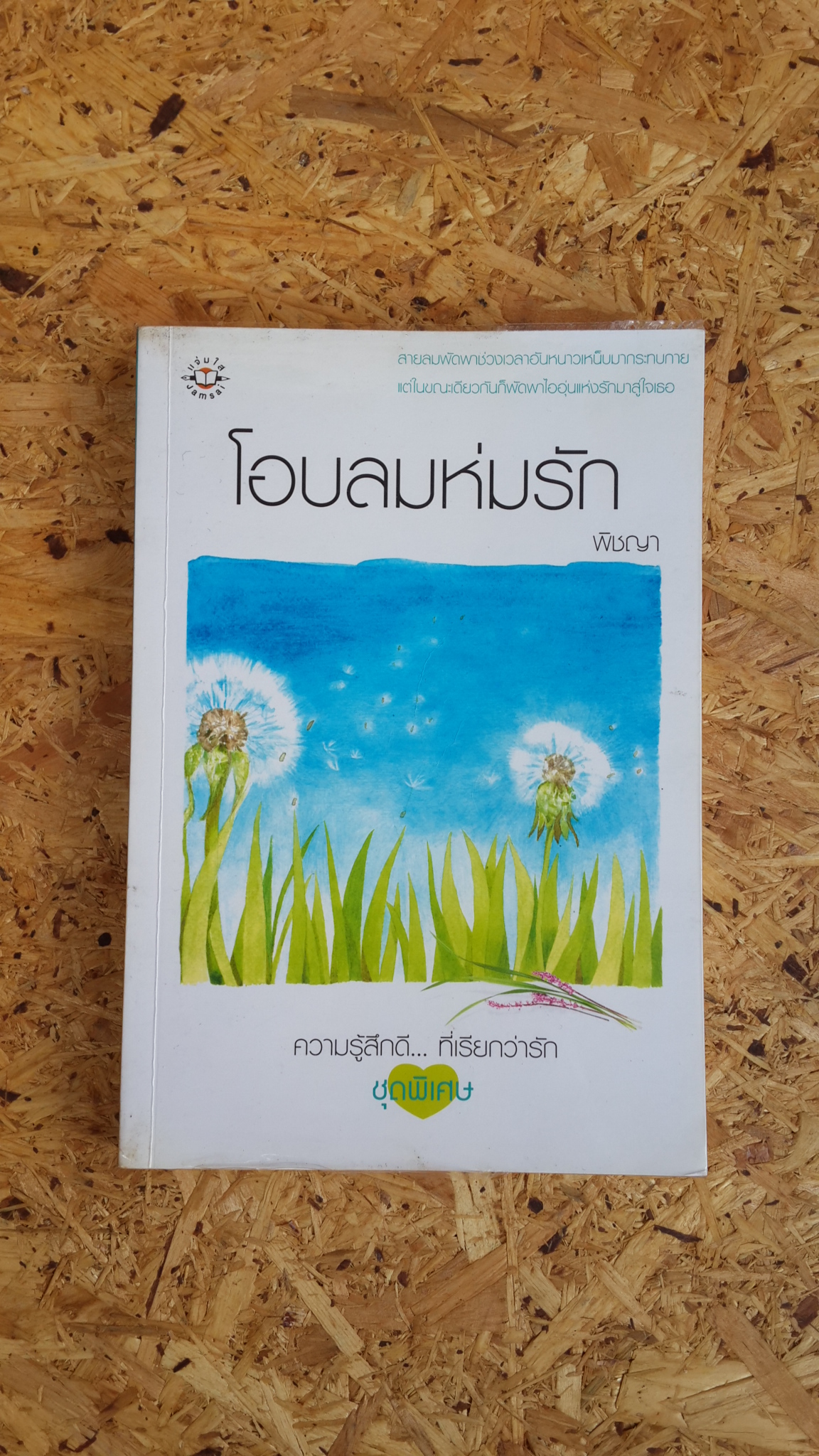 โอบลมห่มรัก / พิชญา