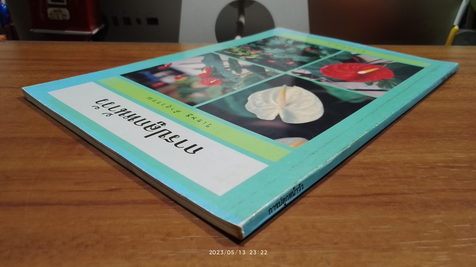 การปลูกหน้าวัว / วิเชษฐ ค้าสุวรรณ