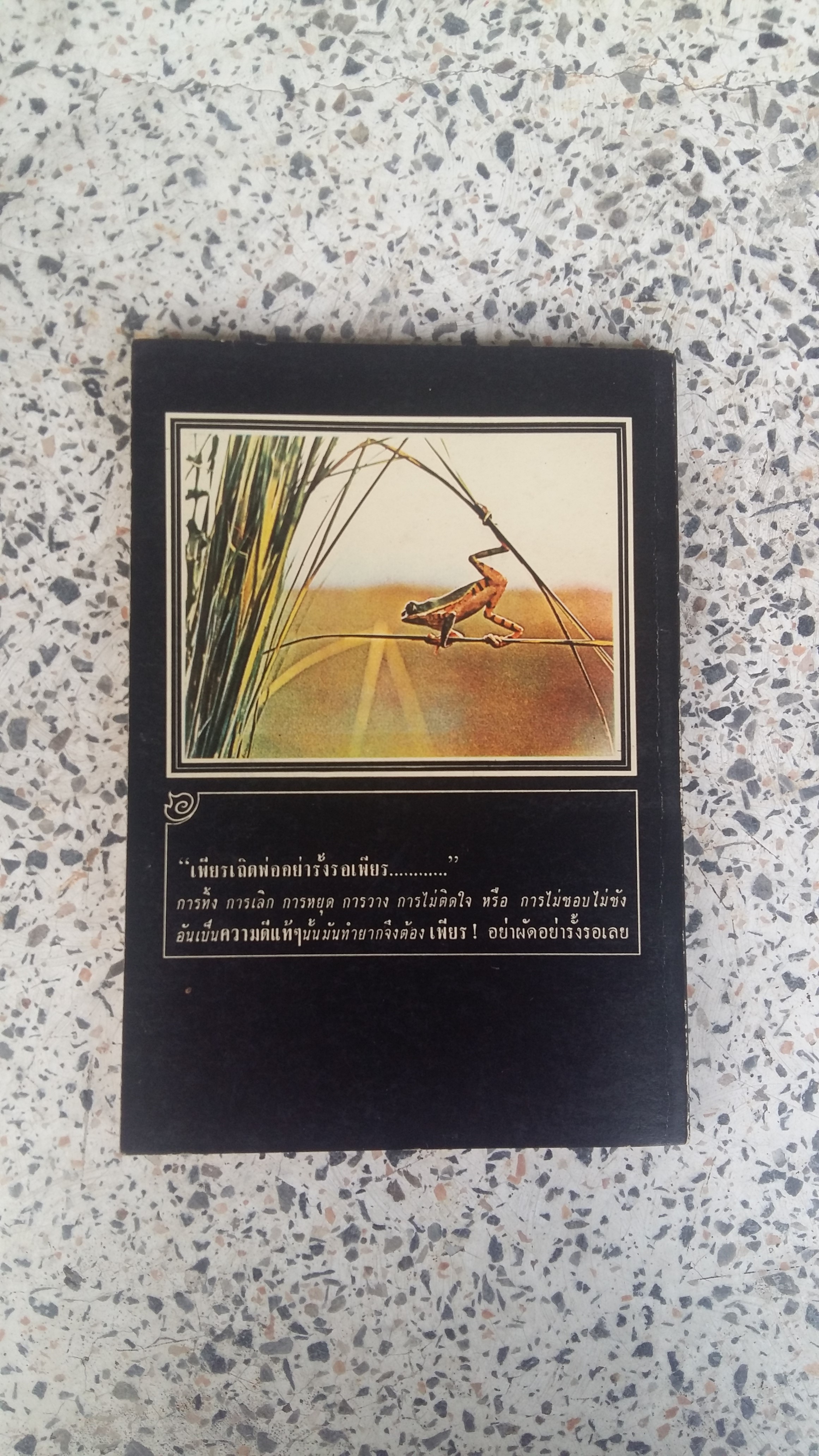 (ส.ค.ส.เล่ม ๕) กิน ด้วย ญาณ ๑๖*