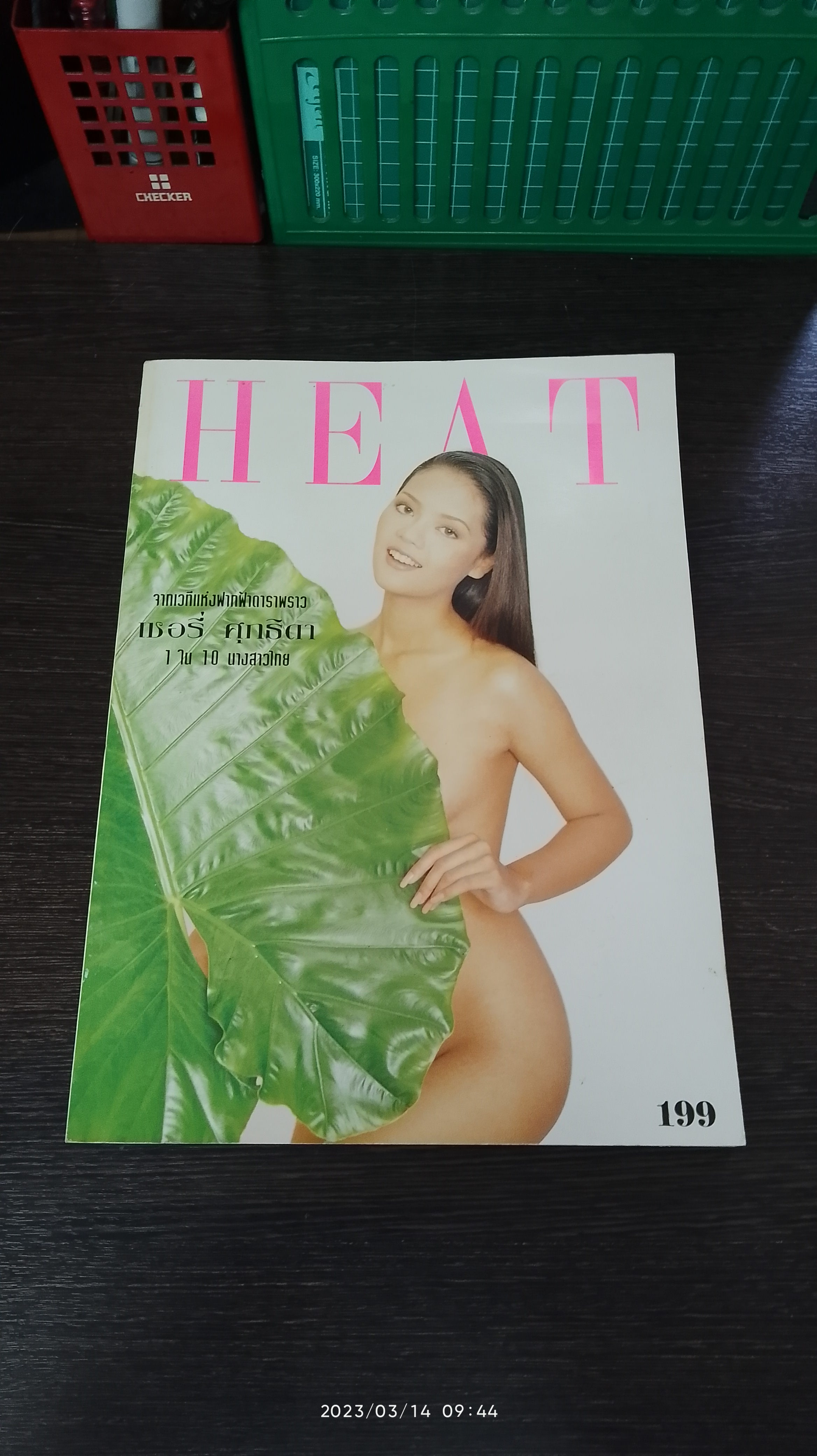 HEAT 6 เชอรี่ ศุภธิดา