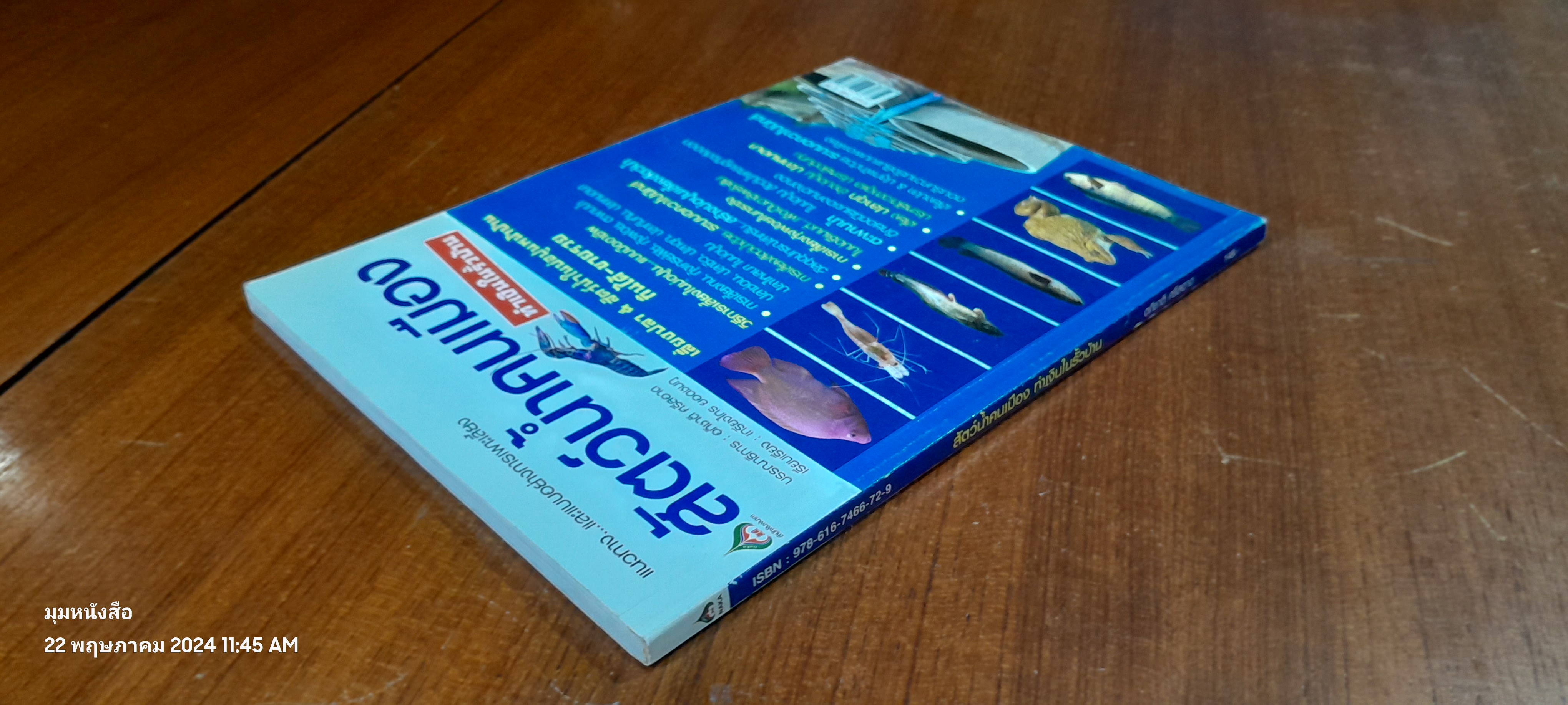 สัตว์น้ำคนเมือง ทำเงินในรั้วบ้าน / อภิชาติ ศรีสอาด