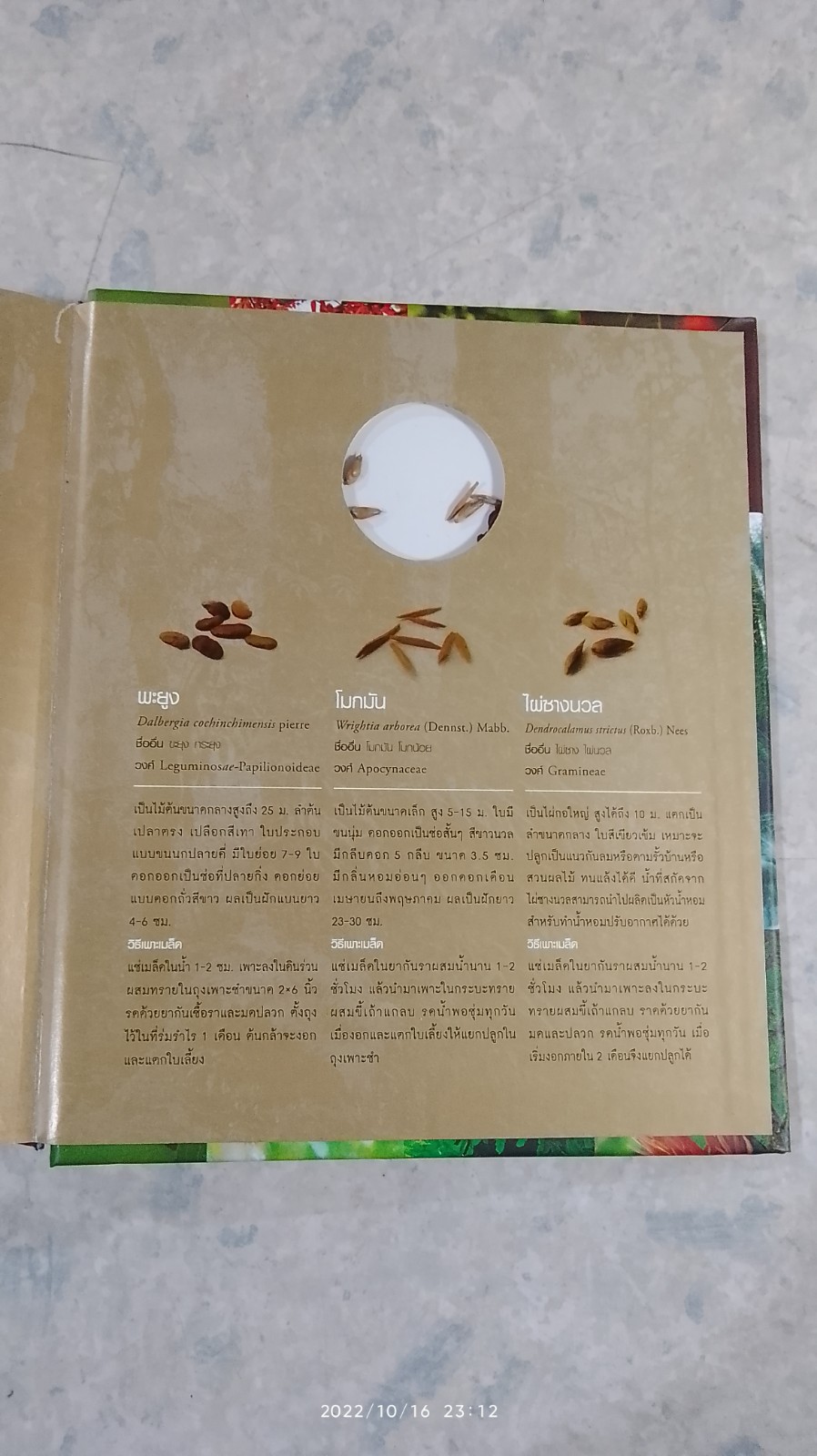 ๘๔ พรรณไม้ถวายในหลวง (ปกแข็ง)