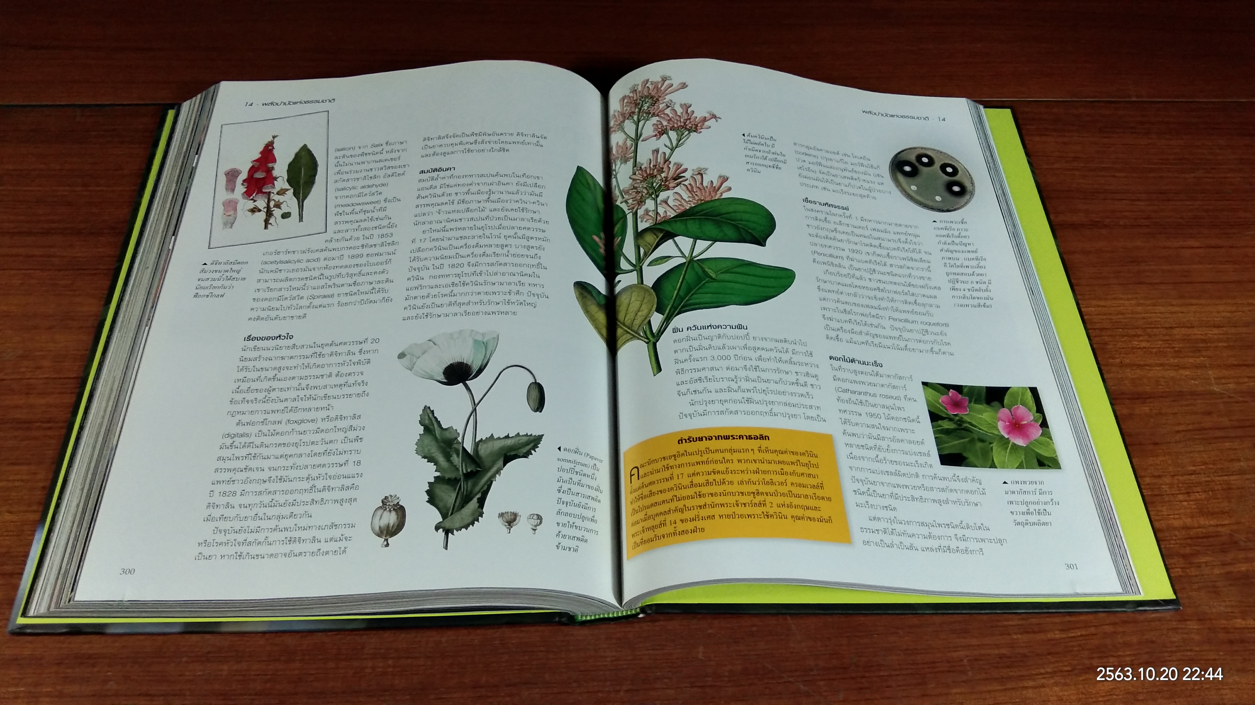 โลกลี้ลับธรรมชาติน่าทึ่ง / รีดเดอร์ส ไดเจสท์