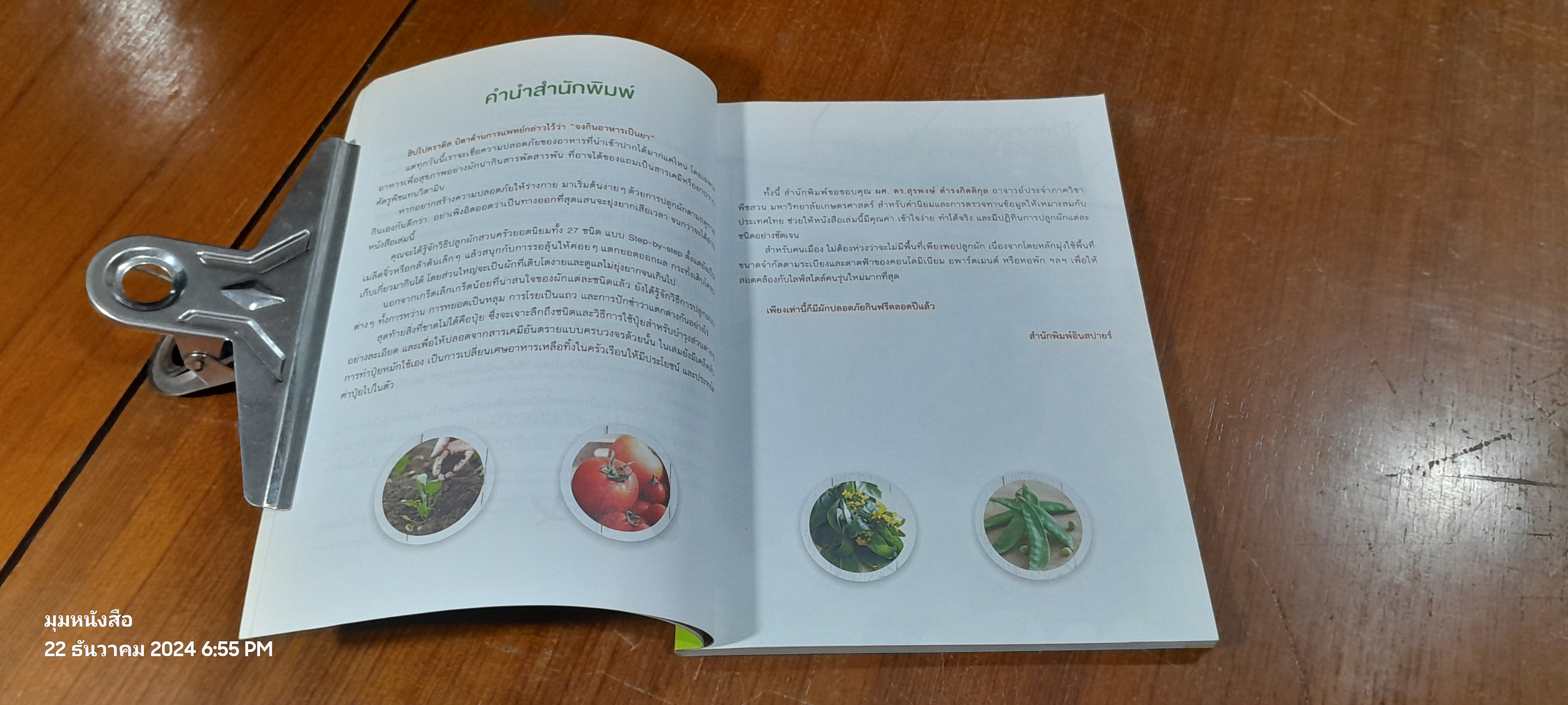 สวนผักในบ้าน กินฟรีทั้งปี / กัณฑมาศ ปาลวัฒน์ แปล