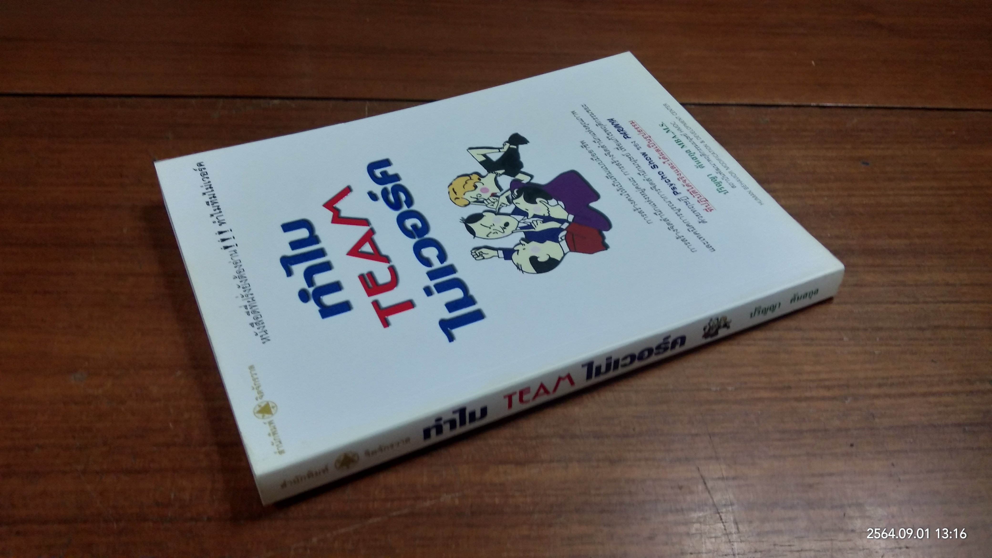 ทำไม TEAM ไม่เวอร์ค / ปริญญา ตันสกุล