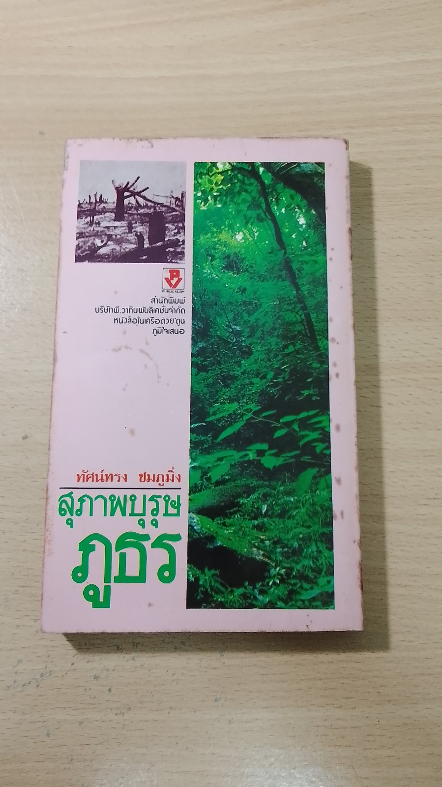 สภาพบุรุษภูธร / ทัศน์ทรง ชมภูมิ่ง