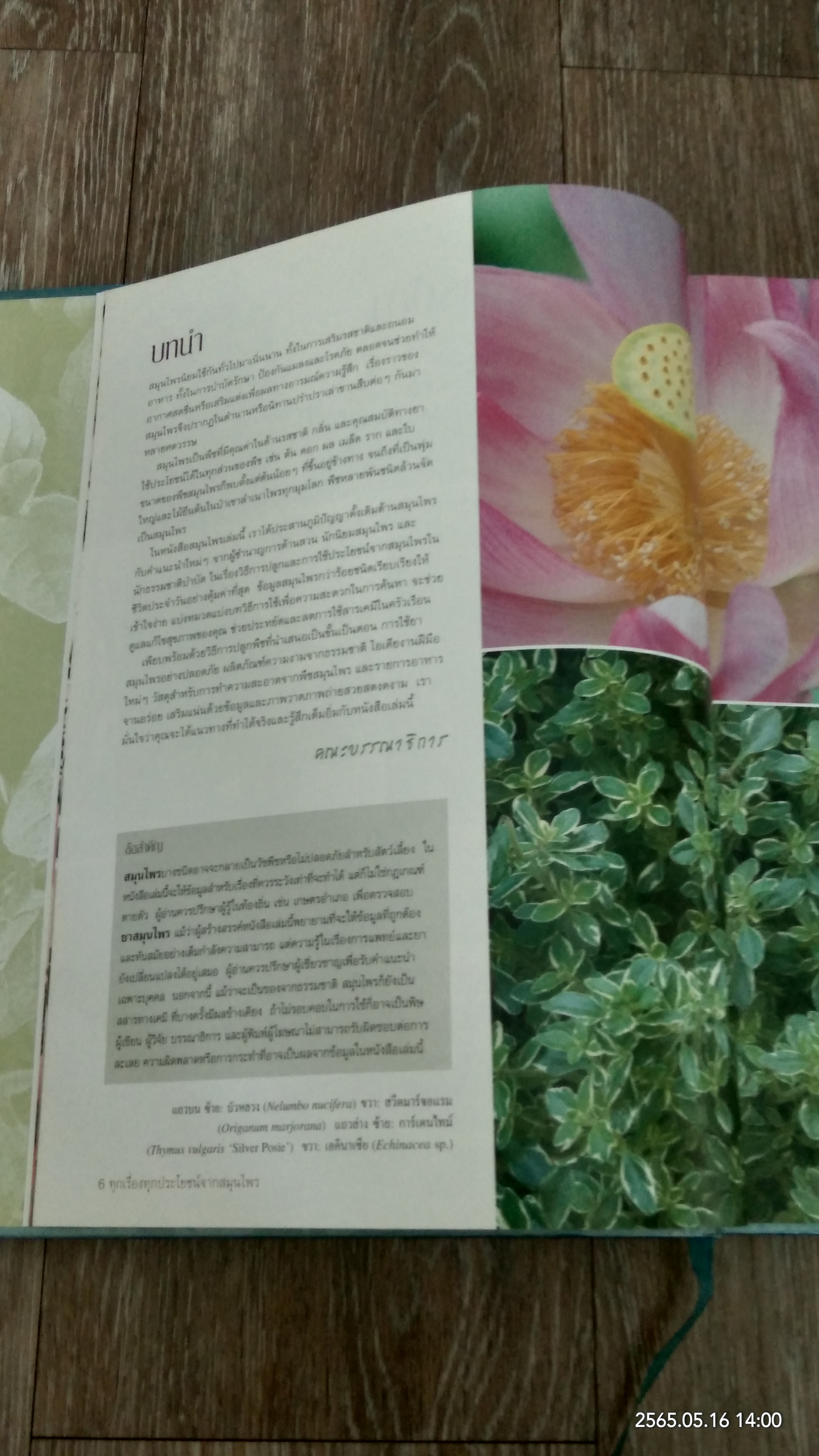 ทุกเรื่องทุกประโยชน์จากสมุนไพร / รีดเดอร์ส ไดเจสท์