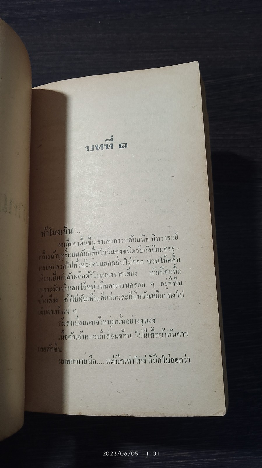 ให้ฝันนั้นตายก่อน / ฮาโรลด์ รอบบินส์