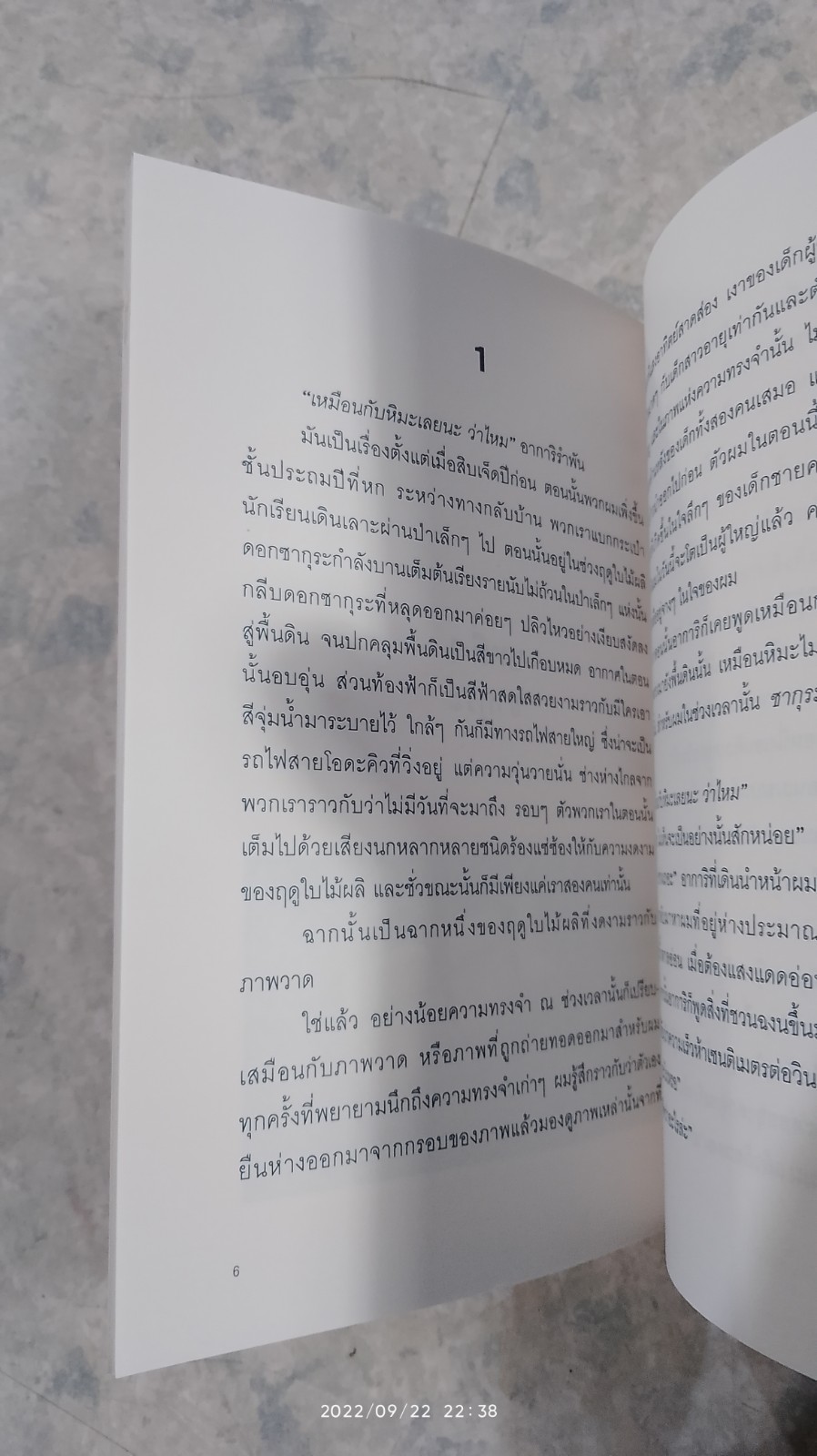 ยามซากุระร่วงโรย / มาโคโตะ ชินไค