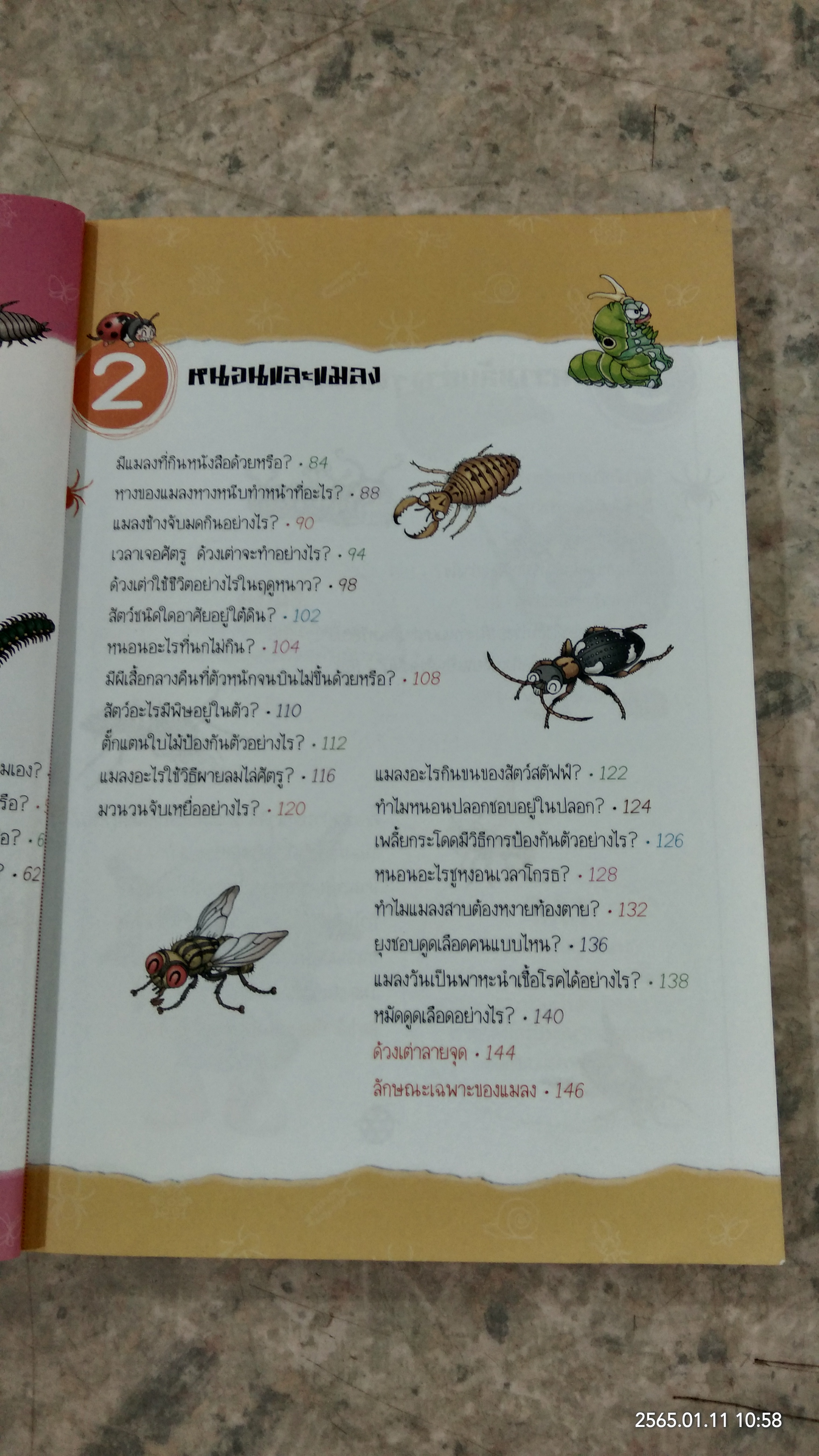 วิทยาศาสตร์ เล่ม 18 เรื่อง โลกของสัตว์เล็ก