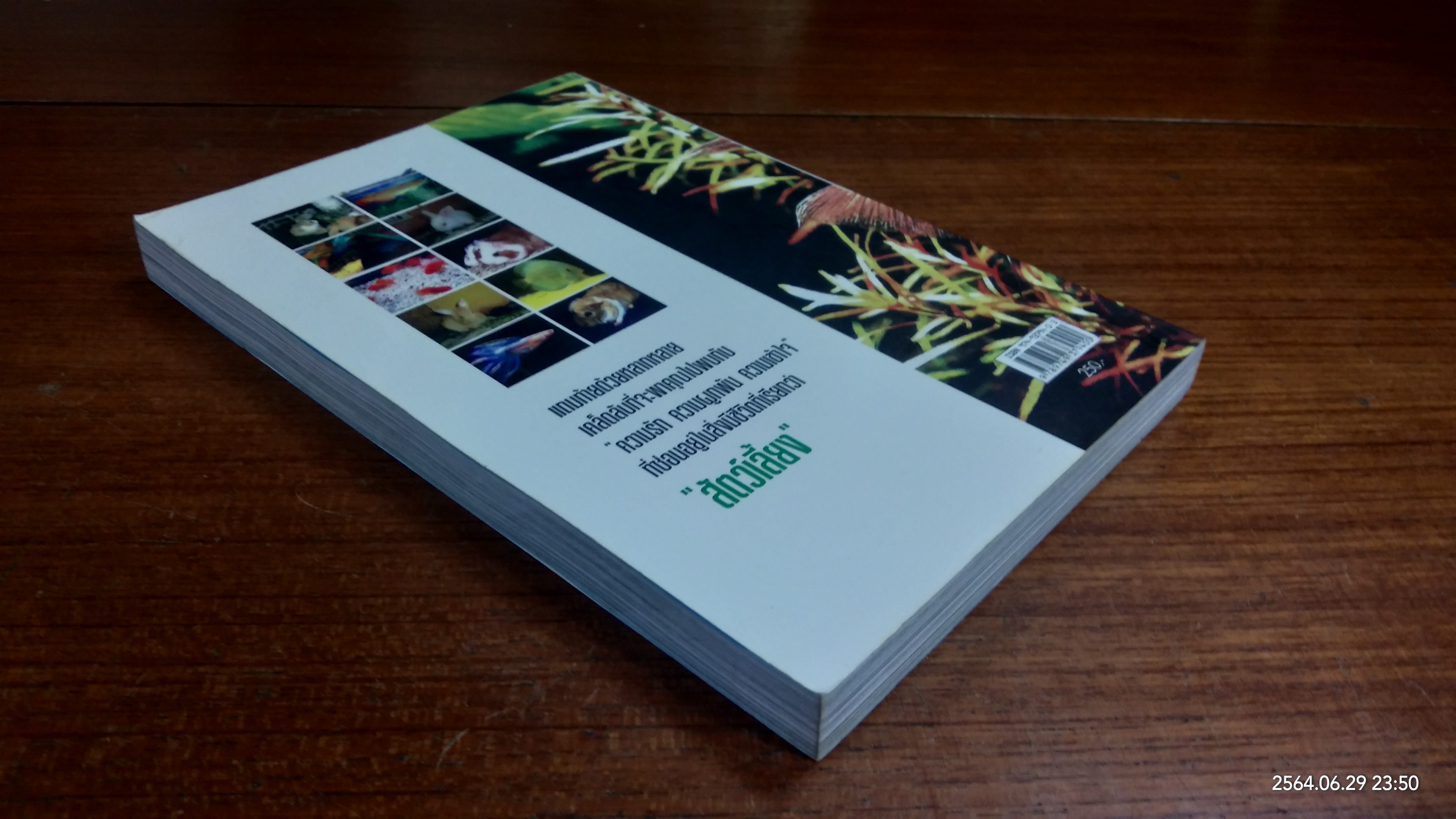 คู่มือแนะนำสัตว์เลี้ยง / มายา