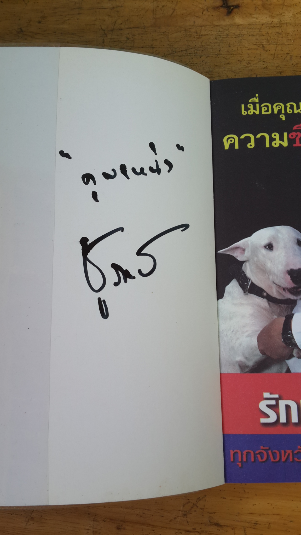 การเมืองแบบหมาๆ / ชูวิทย์ กมลวิศิษฏ์ (มีลายเซ็น)