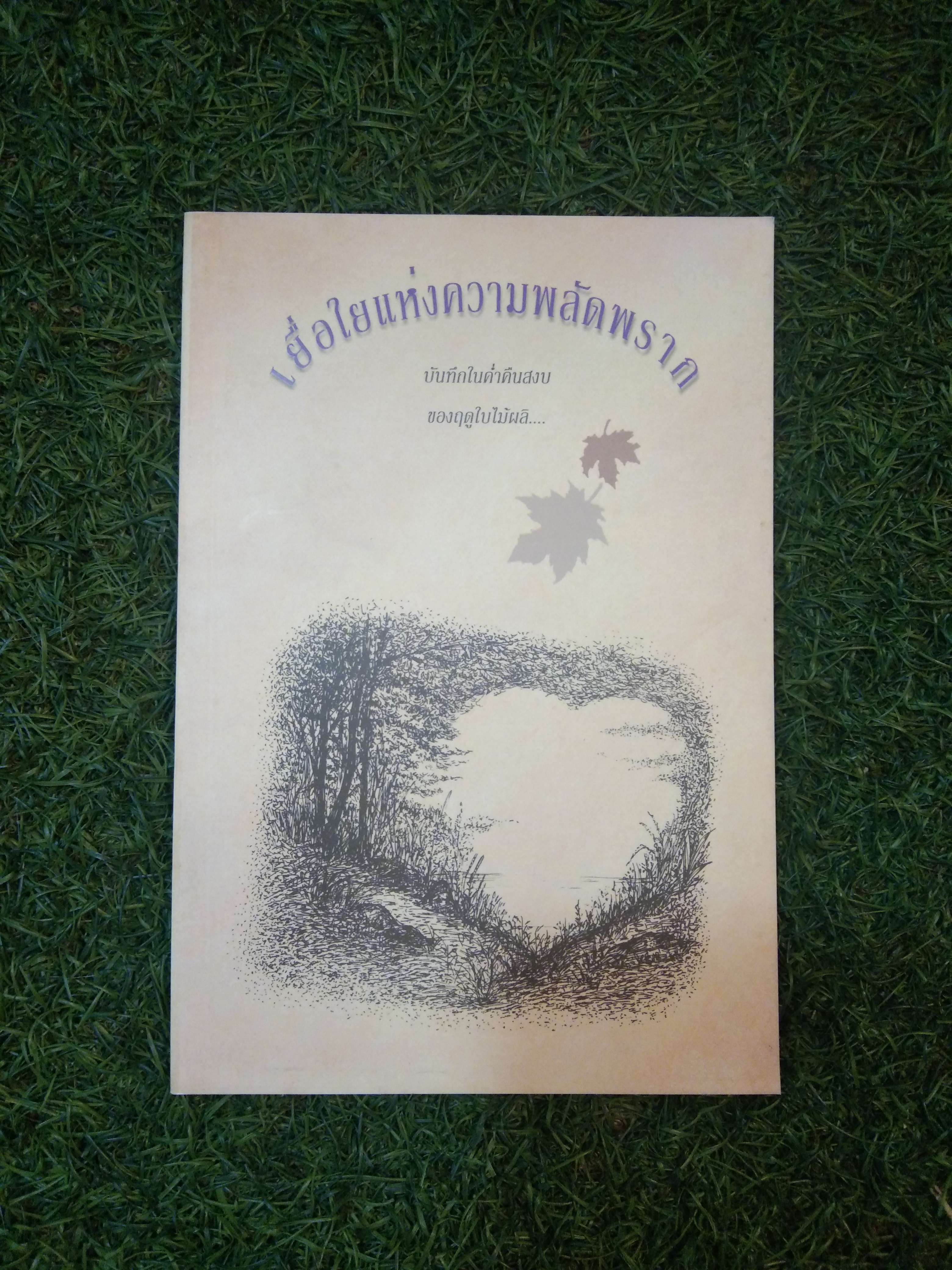เยื่อใยแห่งความพลัดพราก / แพทย์เชิงดอย 50
