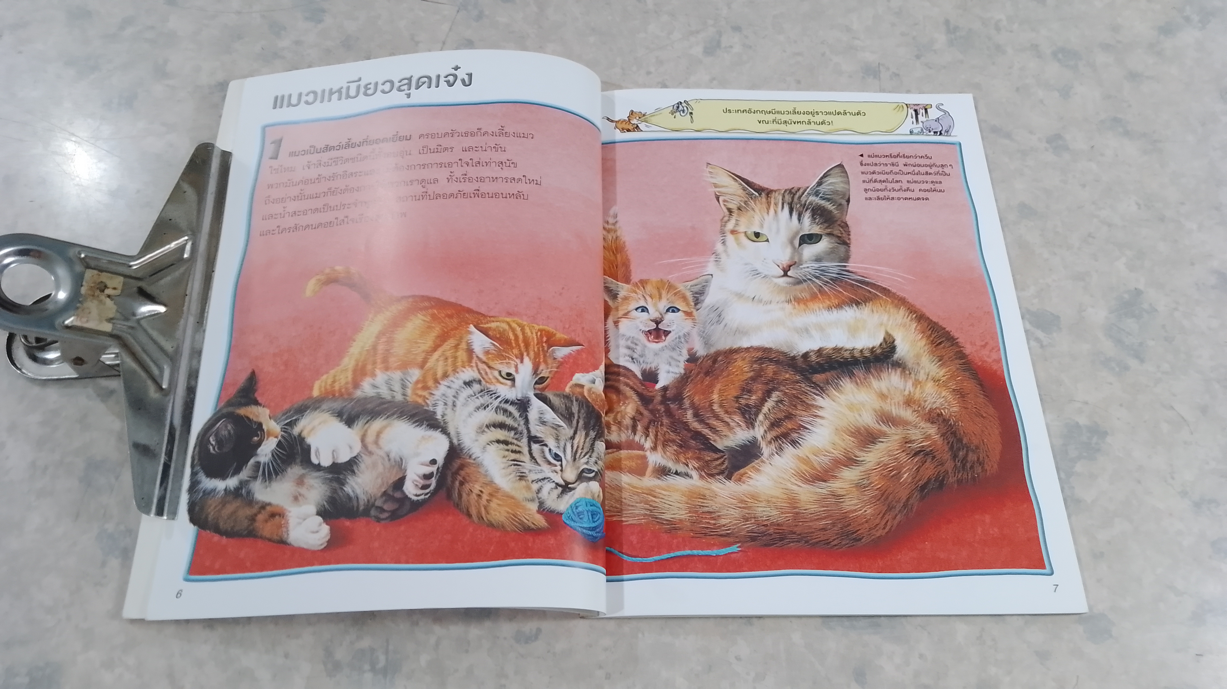 100 เรื่องน่ารู้เกี่ยวกับ แมว (มีรอยขีดเขียนด้านใน)