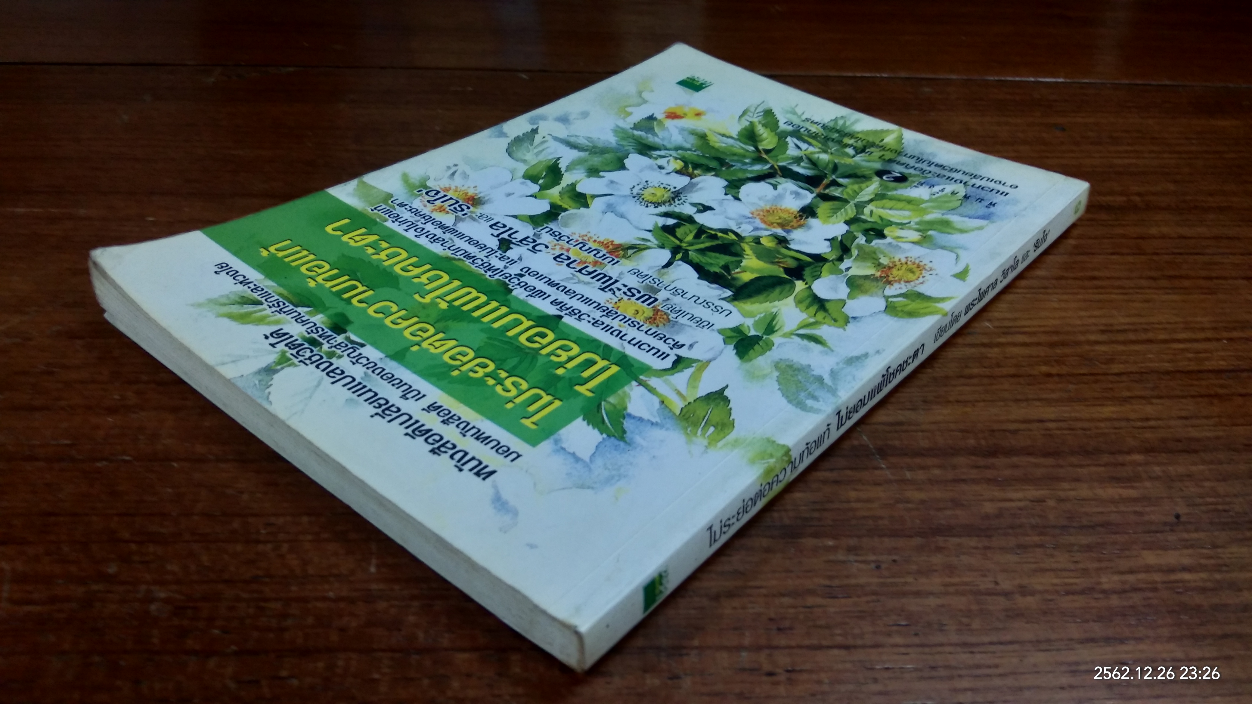 ไม่ระย่อต่อความท้อแท้ ไม่ยอมแพ้โชคชะตา / พระไพศาล วิสาโล