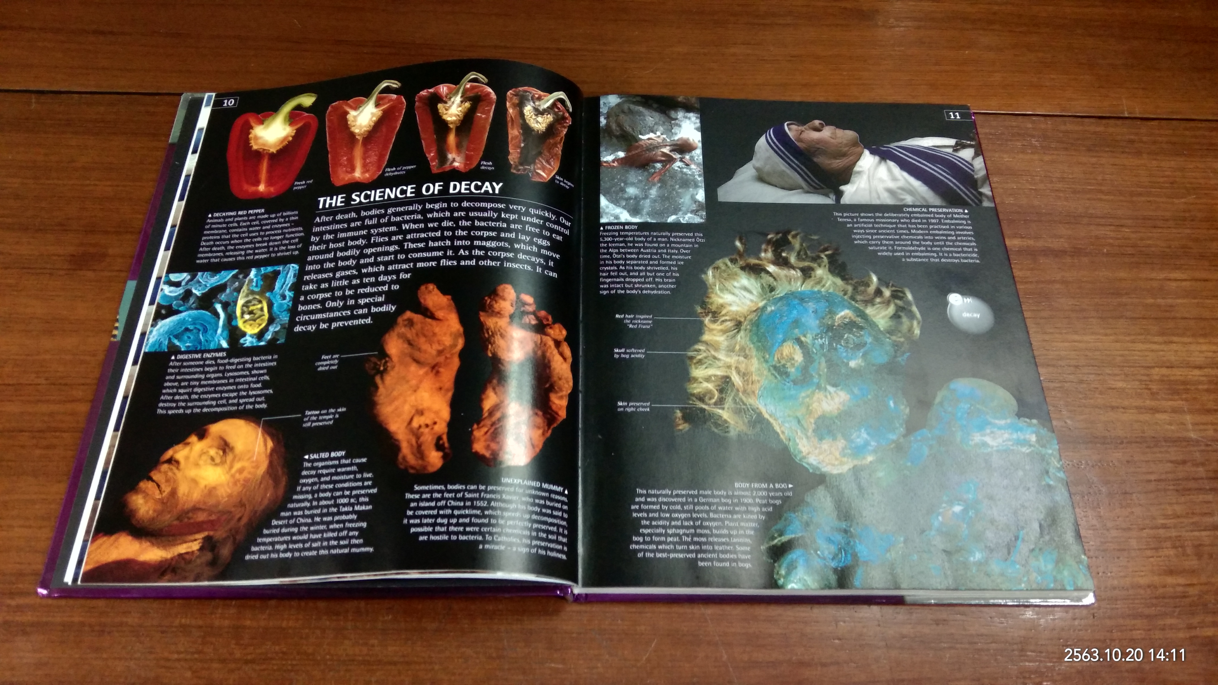 E.explore Mummy : Peter Chrisp