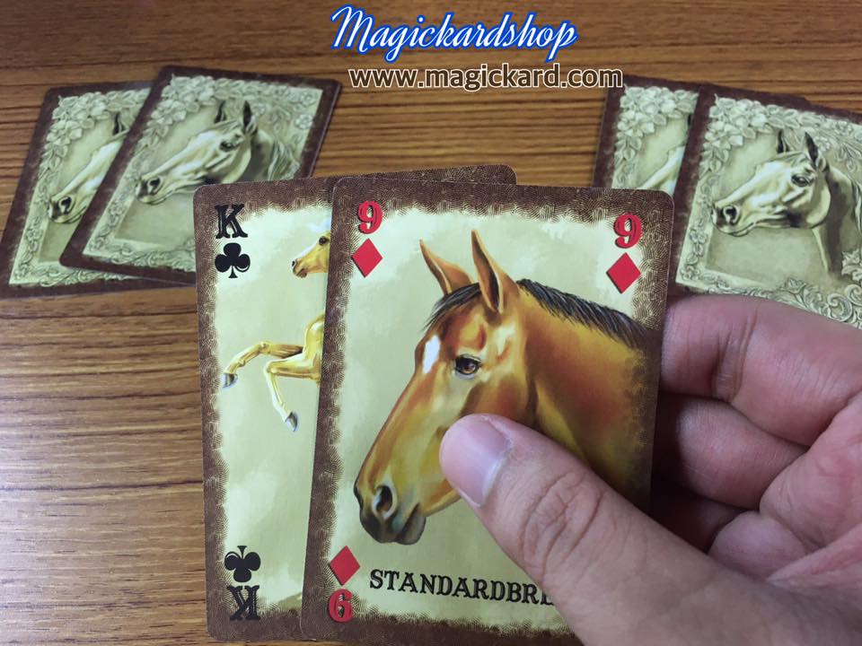 ไพ่ Horse Breed Playing Cards (ไพ่ลายม้า)