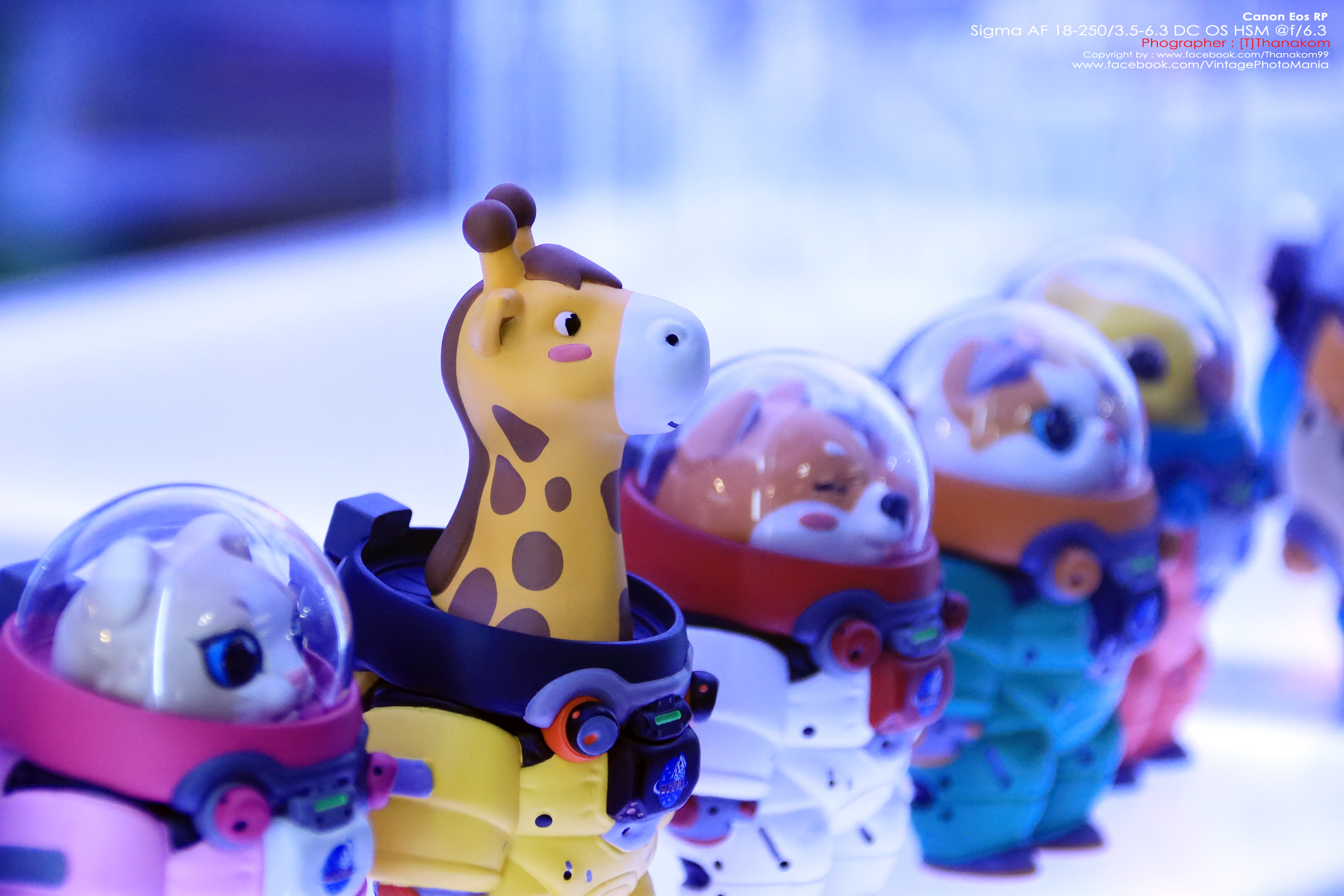 Sigma AF 18-250/3.5-6.3 DC OS HSM *Canon EF-S Mount เลนส์อเนกประสงค์ตัวเล็กซูมได้ 14 เท่ามีกันสั่น