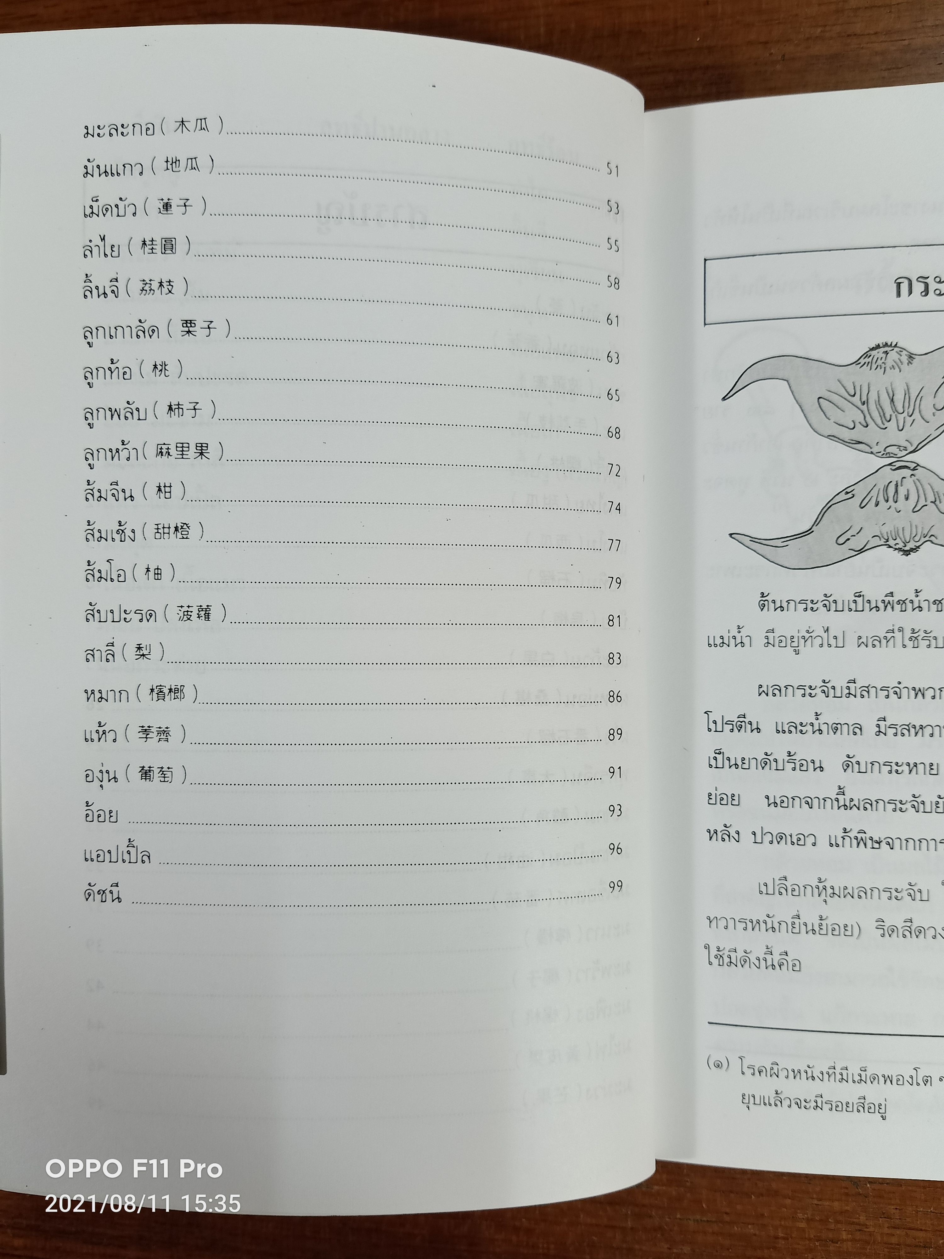 คู่มือ - คู่บ้าน เล่ม1 ผลไม้อาหารก็เป็นยาได้ / วีรชัย มาศฉมาดล แปล