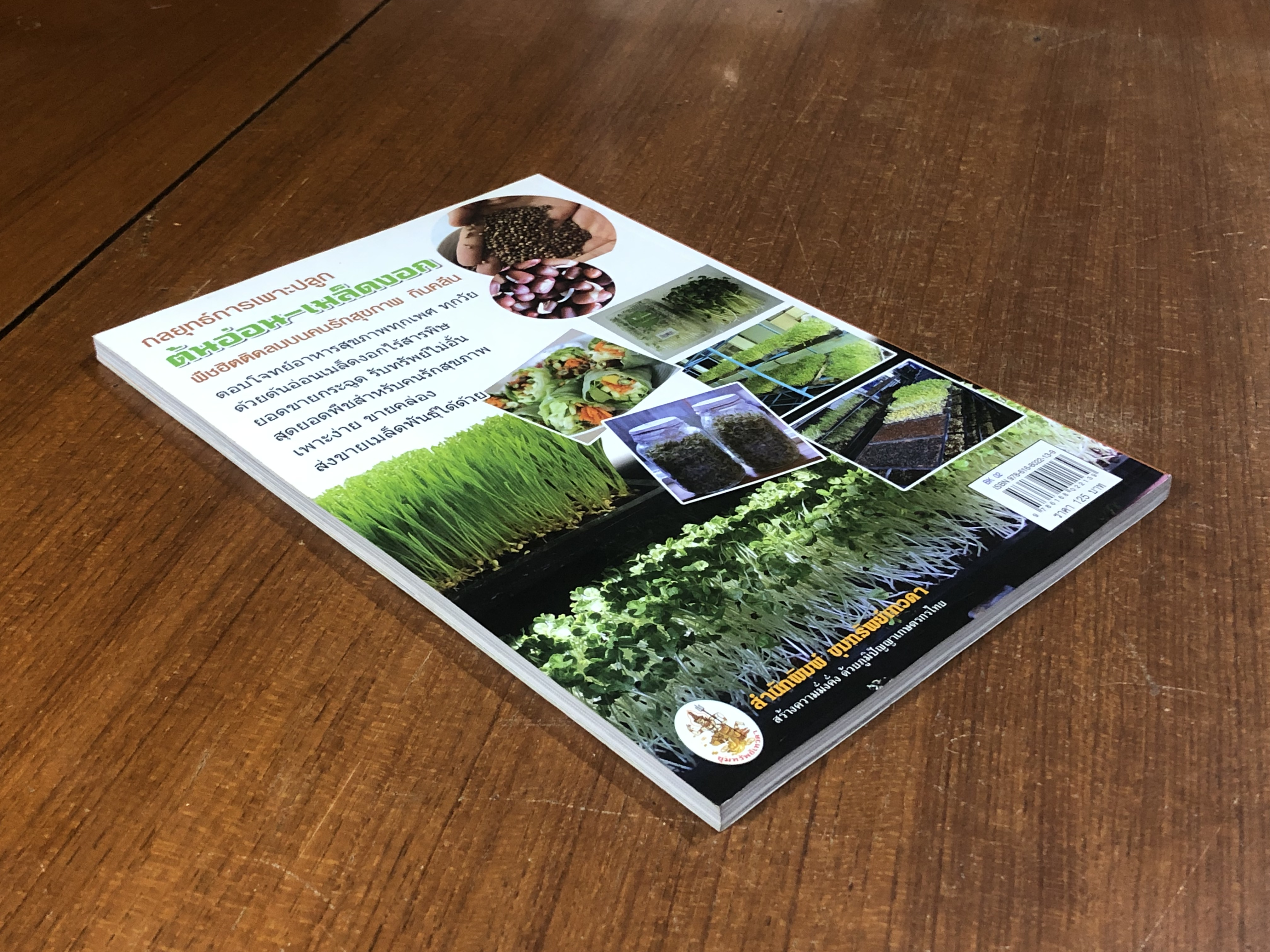 กลยุทธ์การเพาะปลูก ต้นอ่อน เมล็ดงอก ผักสุขภาพ กินคลีน เพาะง่าย ขายรวย