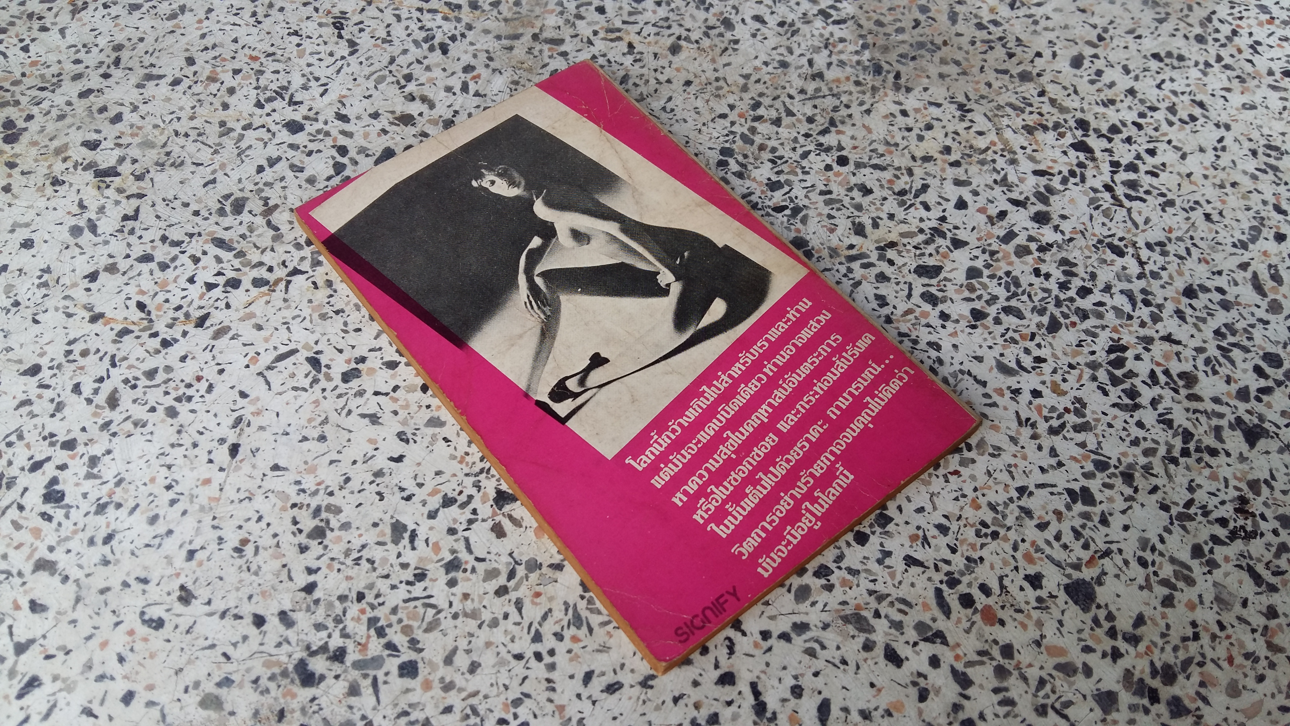 นางแบบอาชีพ / ณรงค์ฤทธิ์