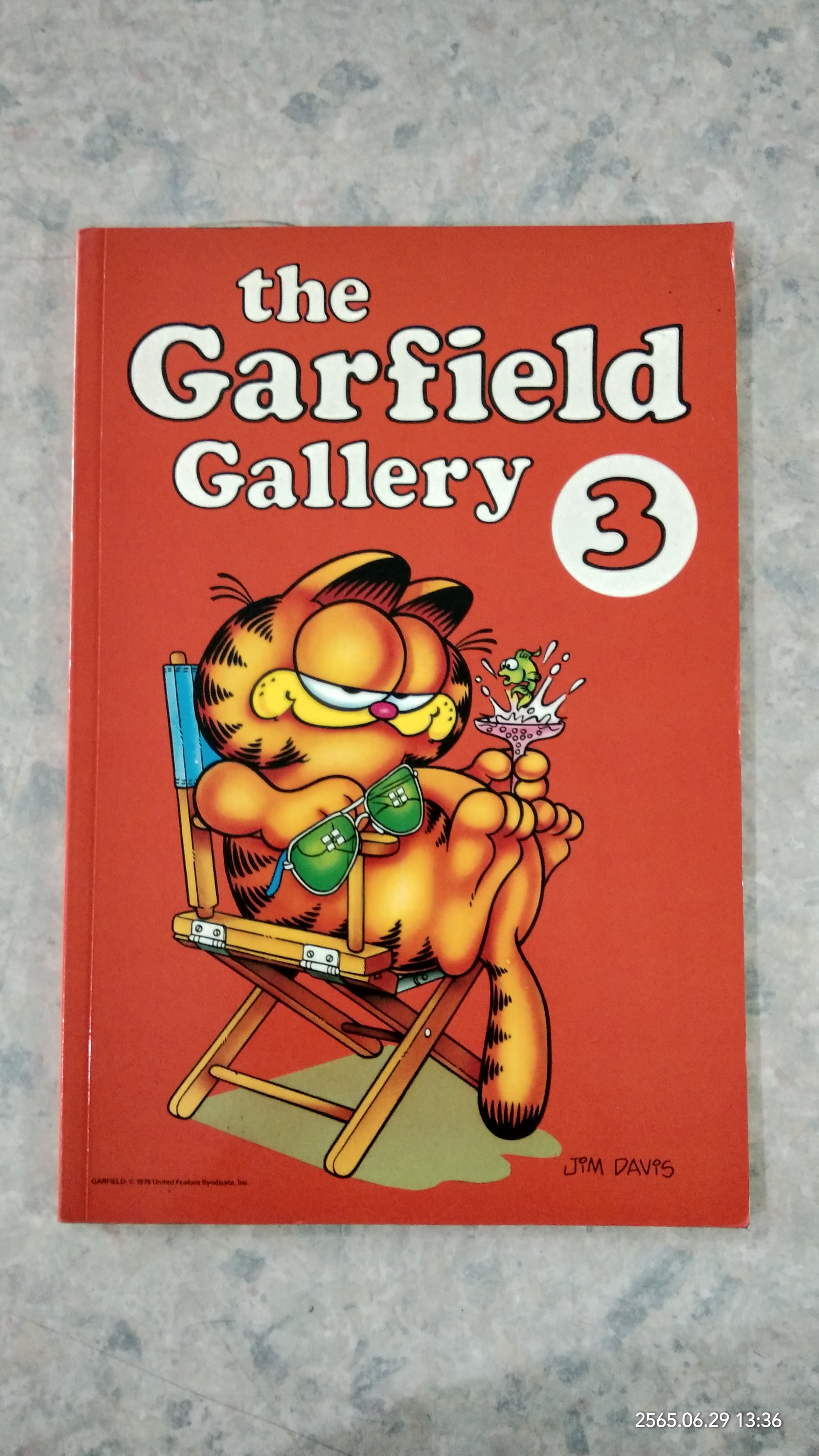 the Garfield Gallery 23/ JiM DAViS