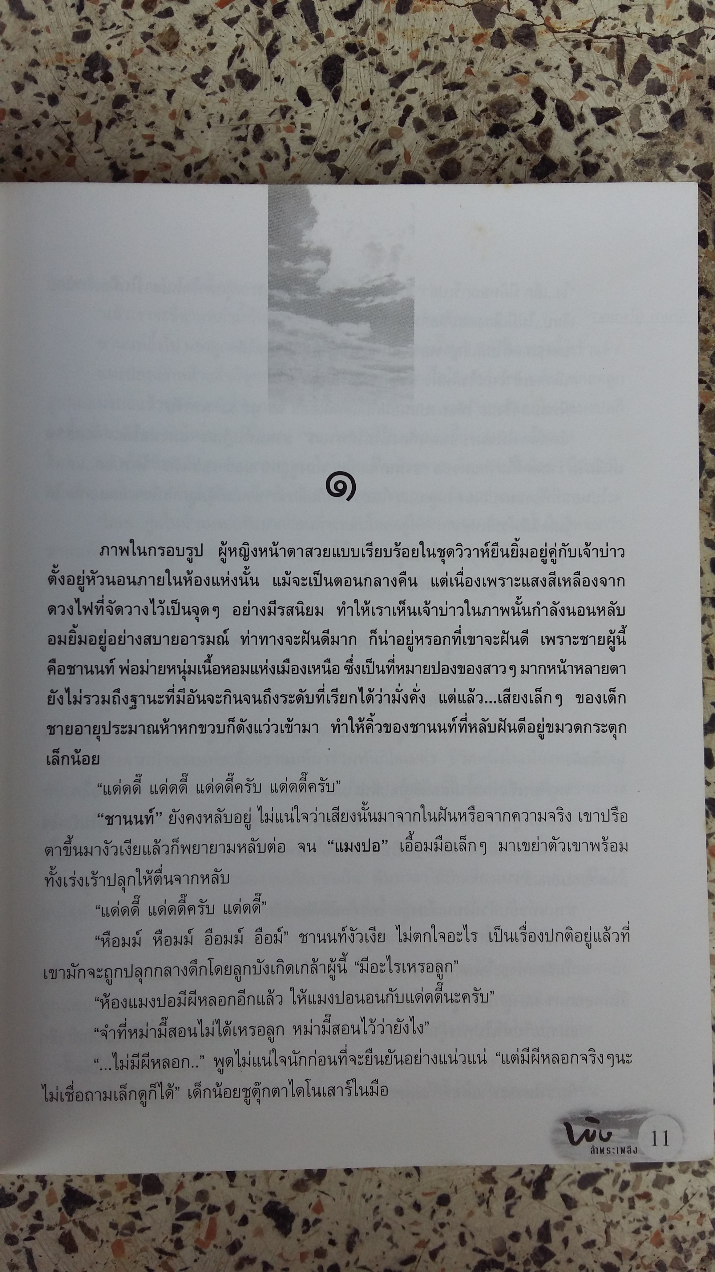 รักสุดท้ายที่ปลายฟ้า / พิง ลำพระเเพลิง
